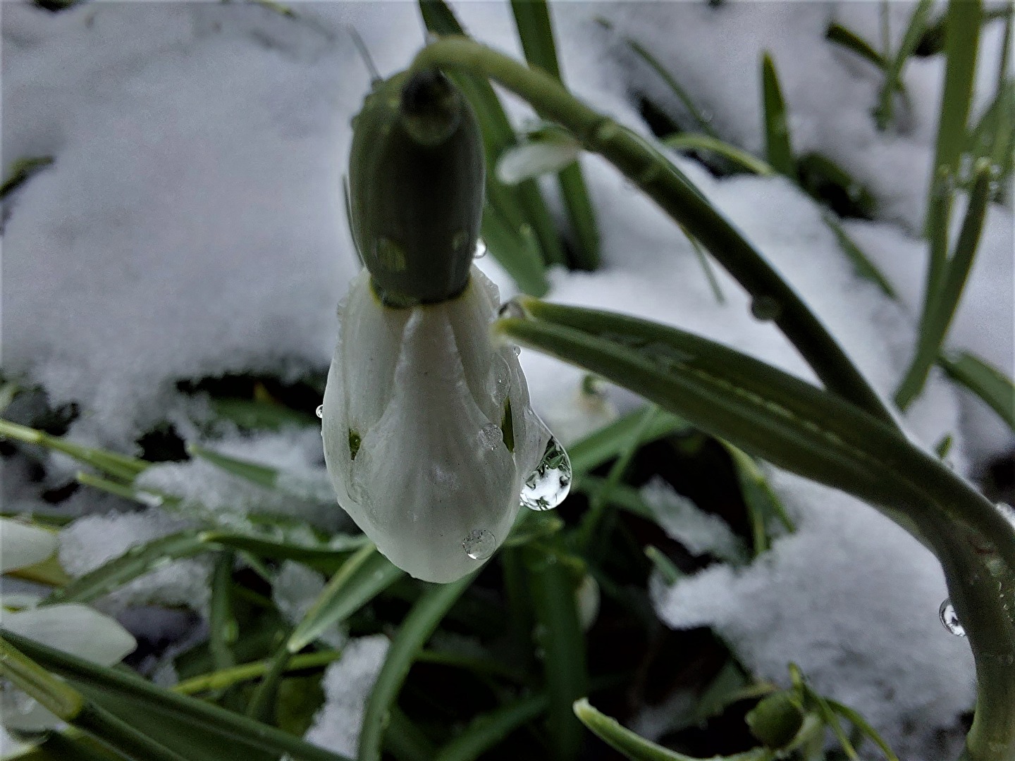 raus in die Freiheit