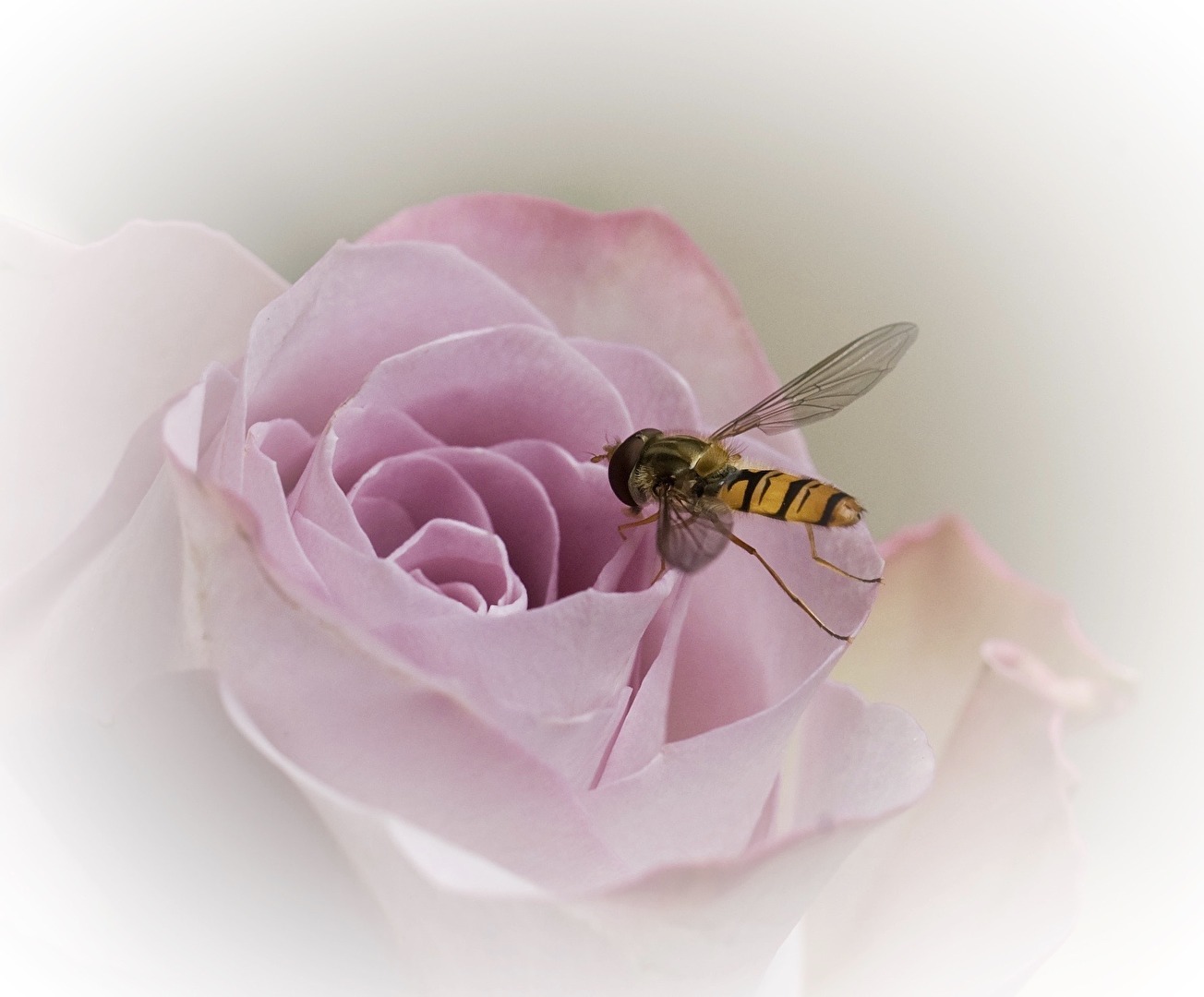 Schon wieder Besuchstag …