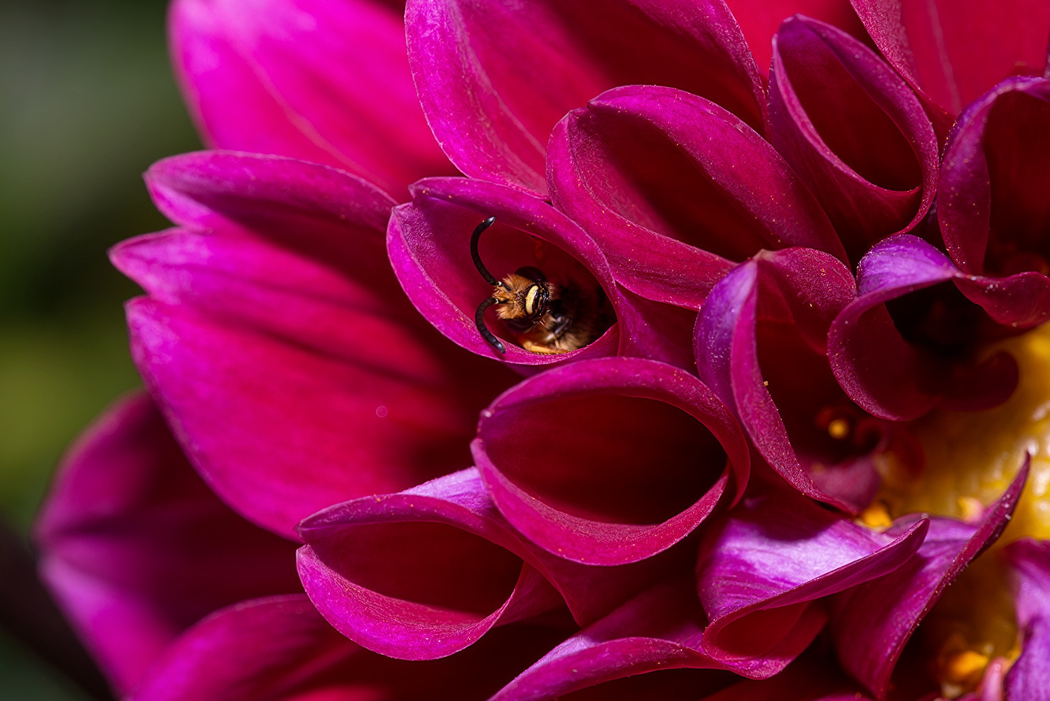 Hier ist es noch warm!