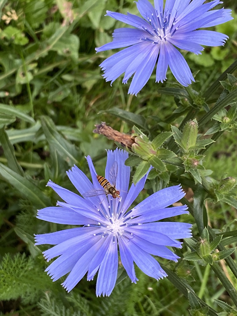 Dümmert-Park in Telgte