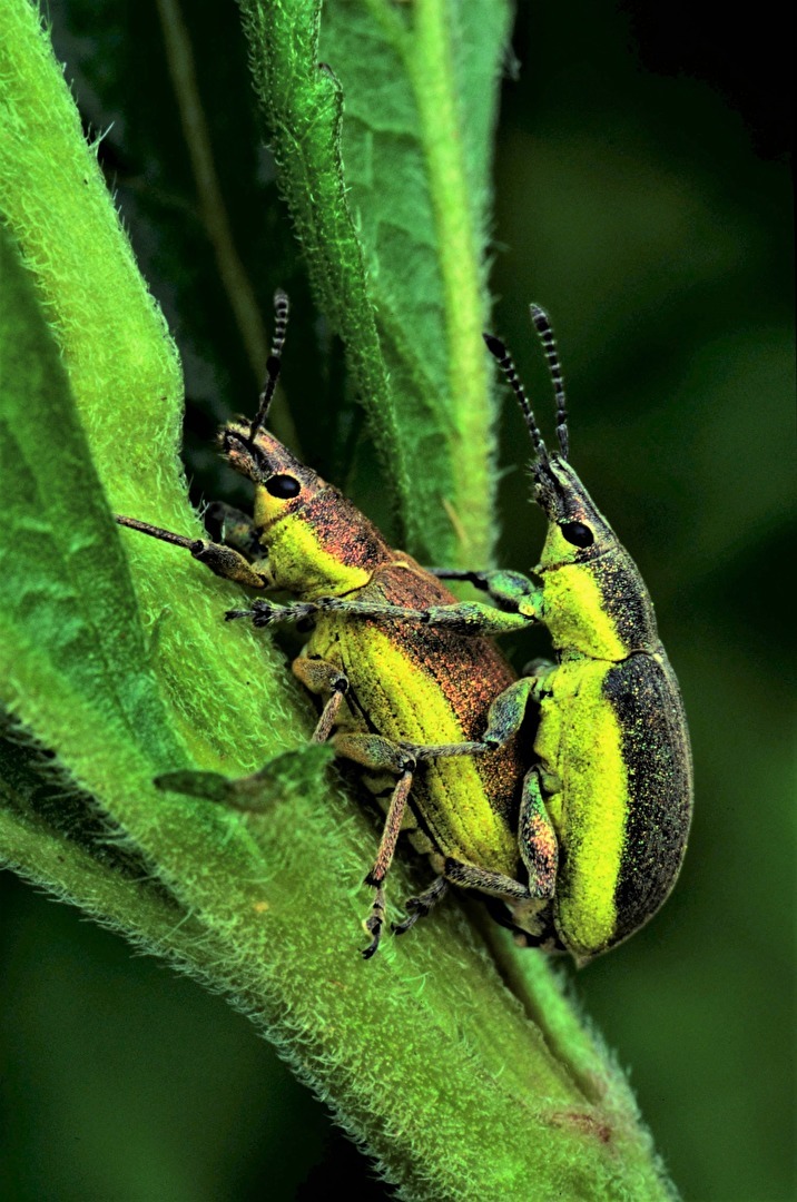 " Gemeinsam gehts `am besten "