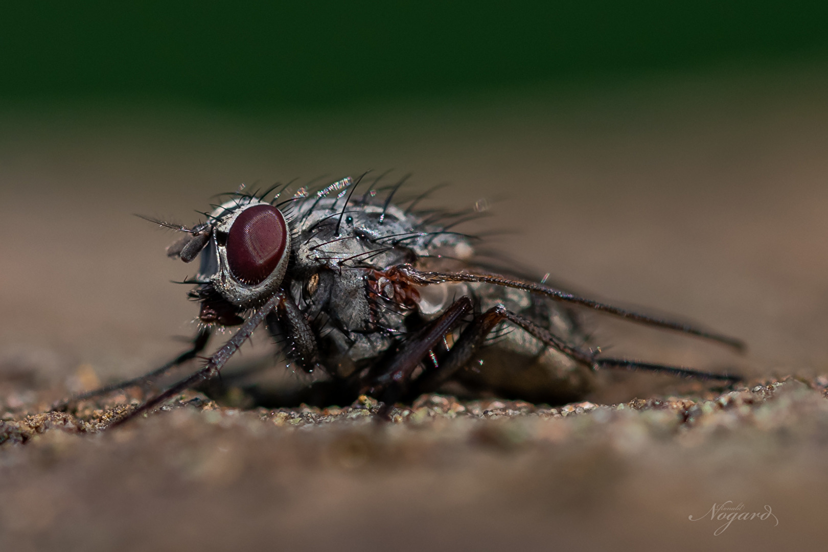 noch mal Sonne tanken