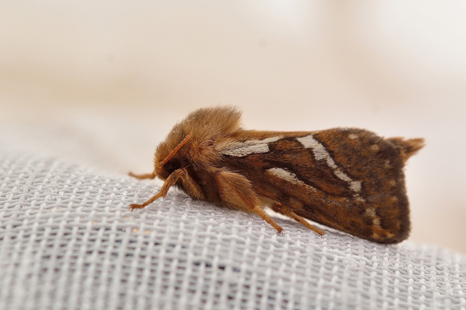 Überraschender Besuch