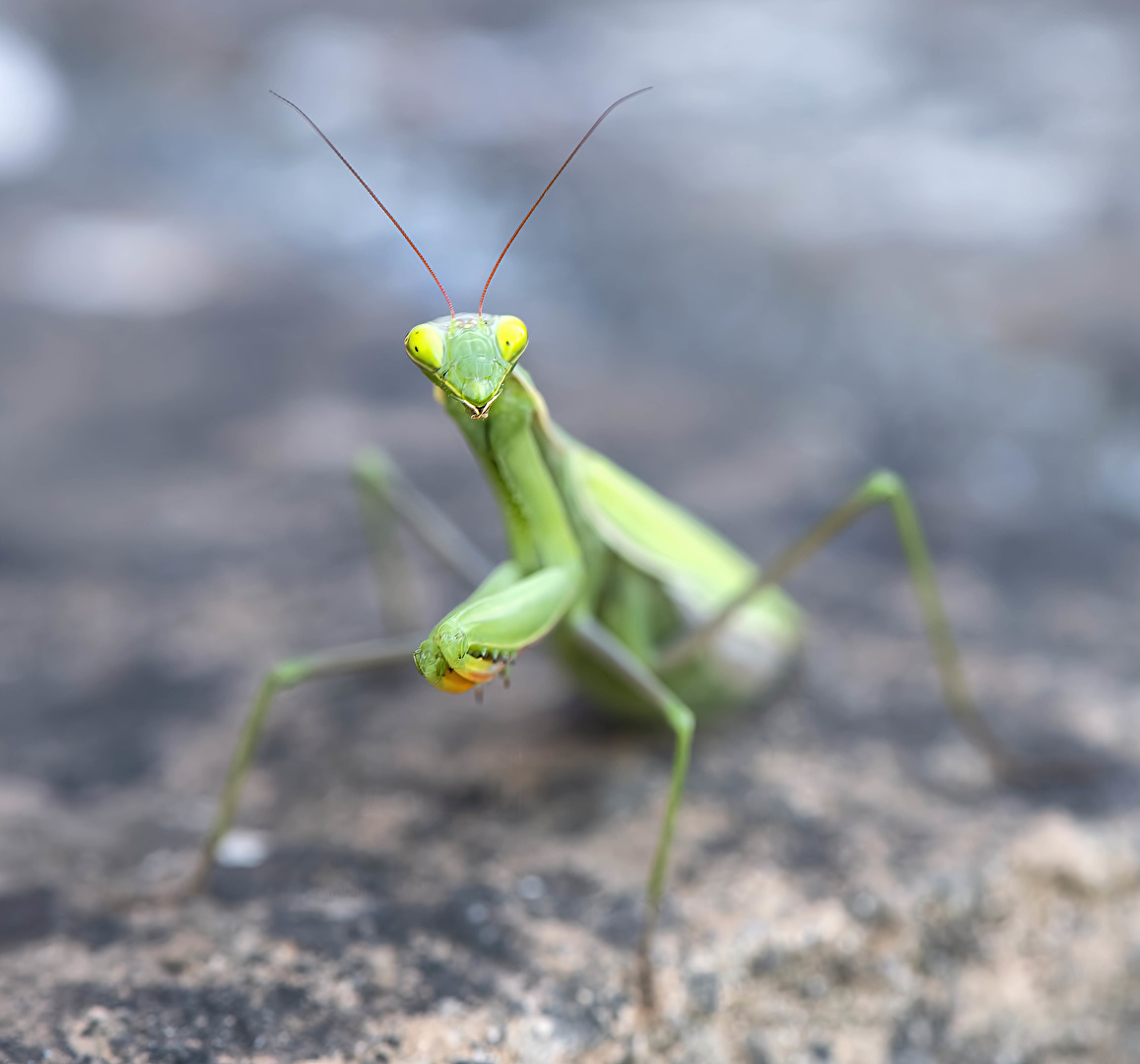 wer fotografiert mich da?