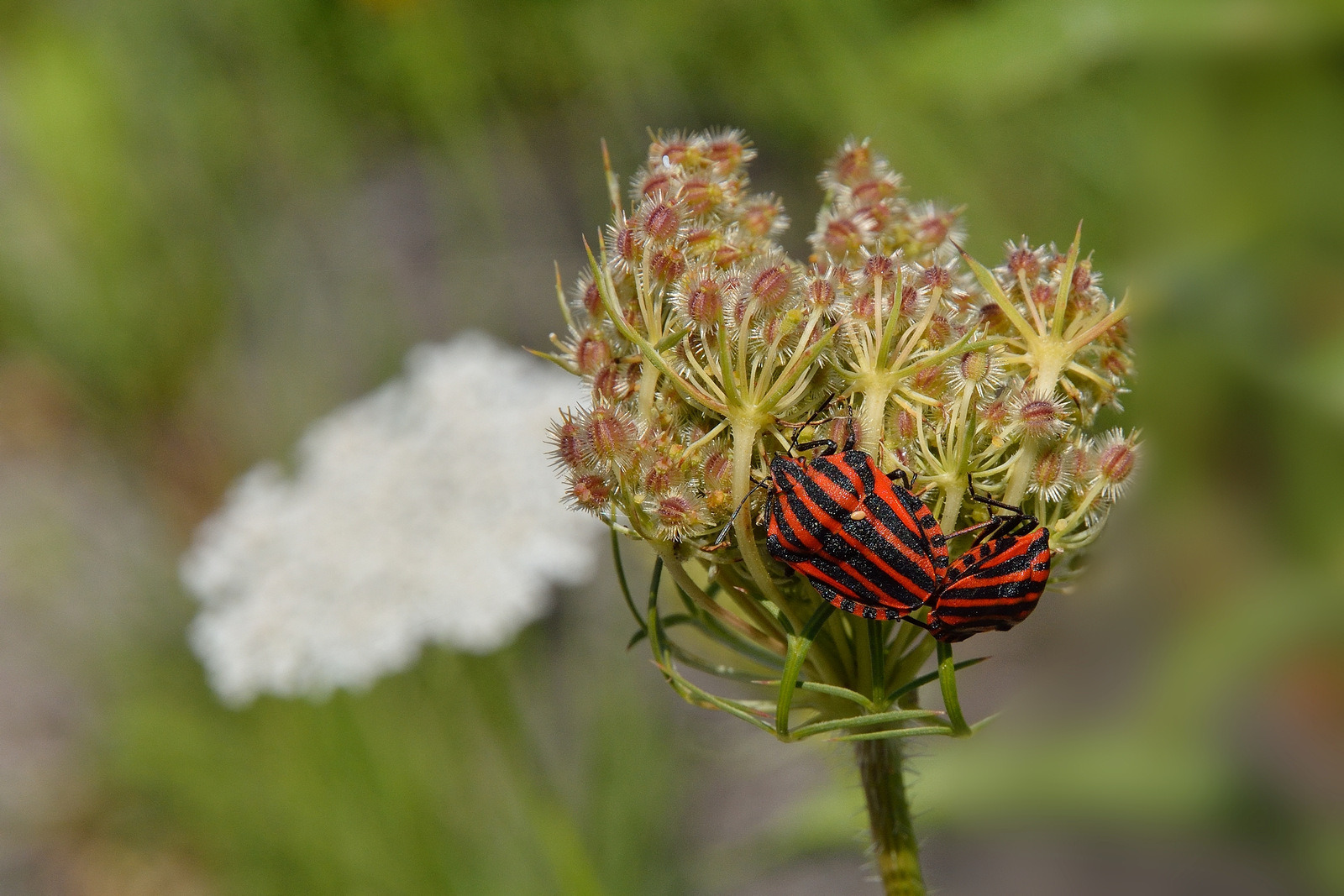 Zwei die sich mögen