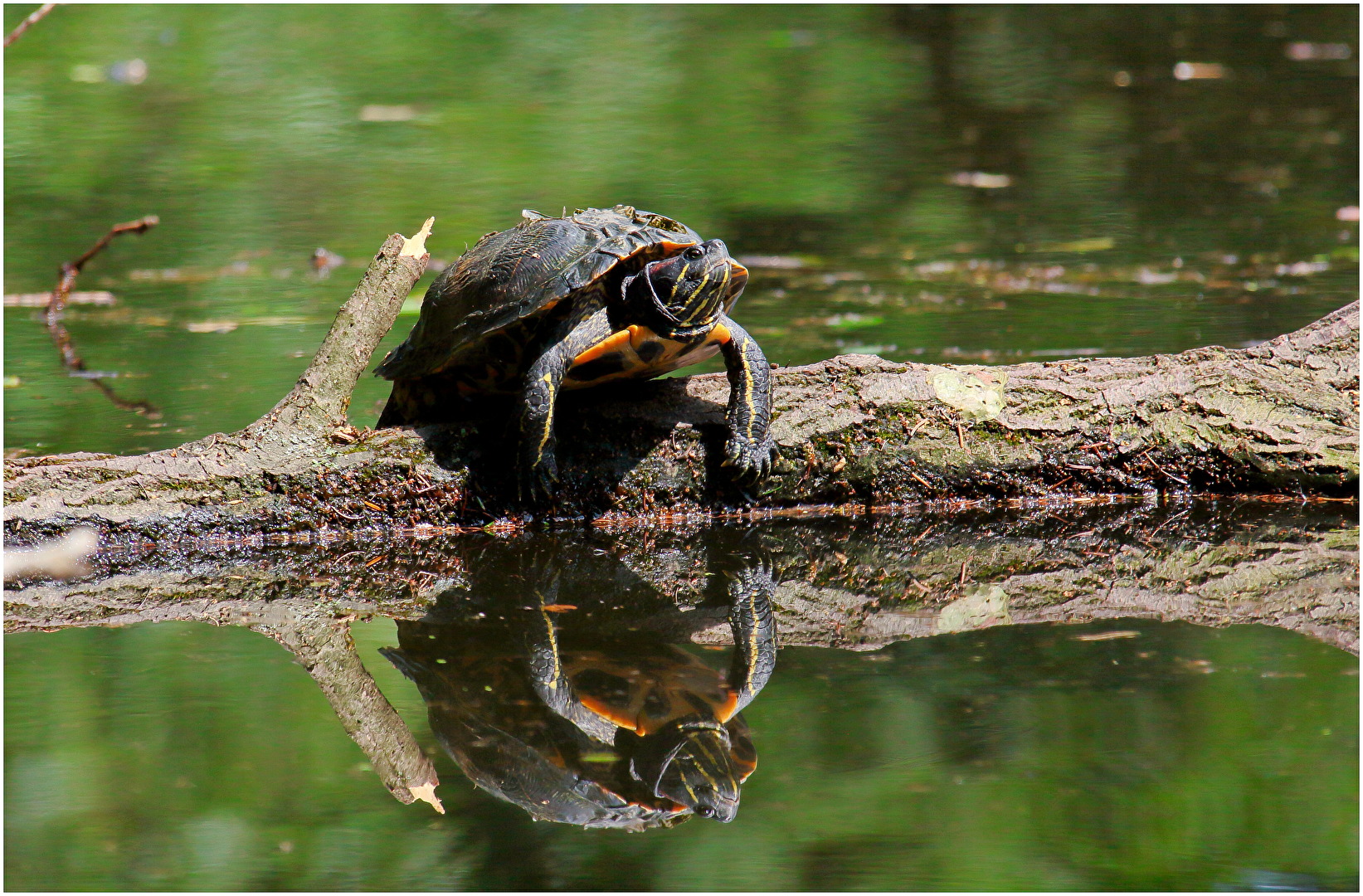 Was ein schöner Tag