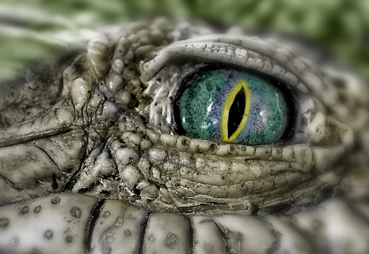Ich hab dich im Auge