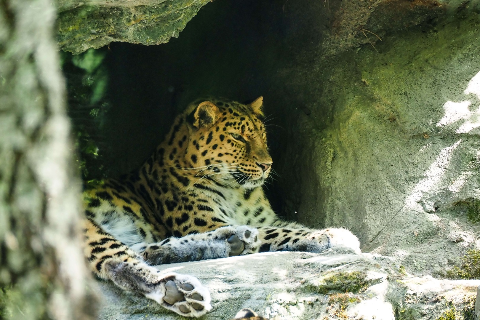 Im Schatten...........