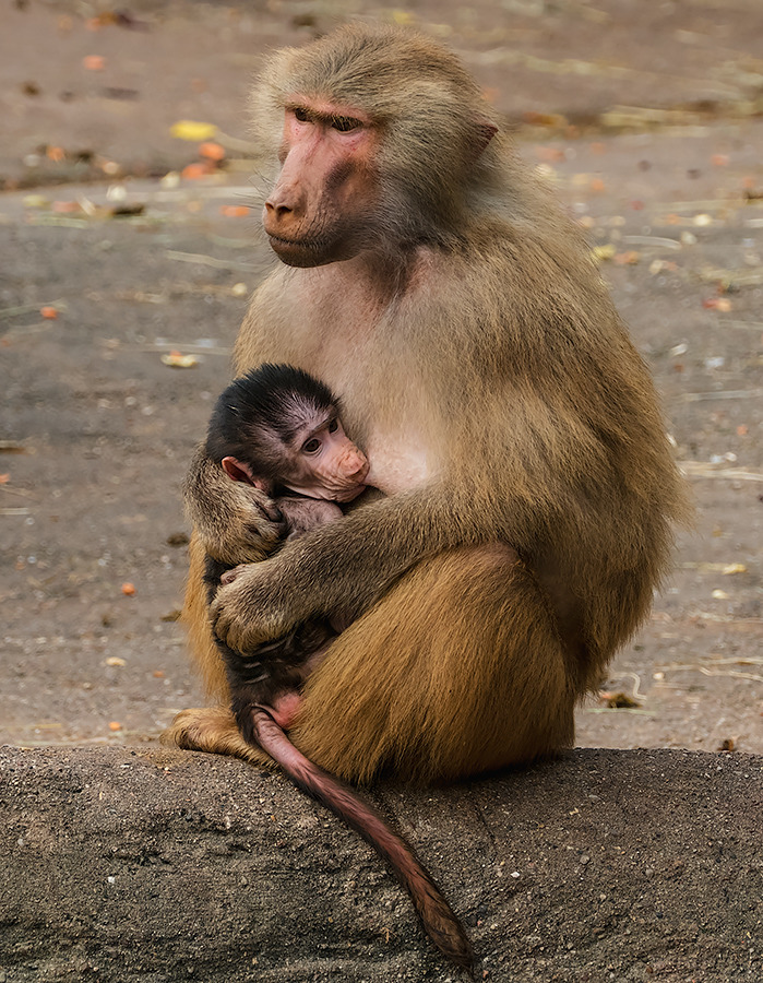 Ein Schluck aus der Milchbar