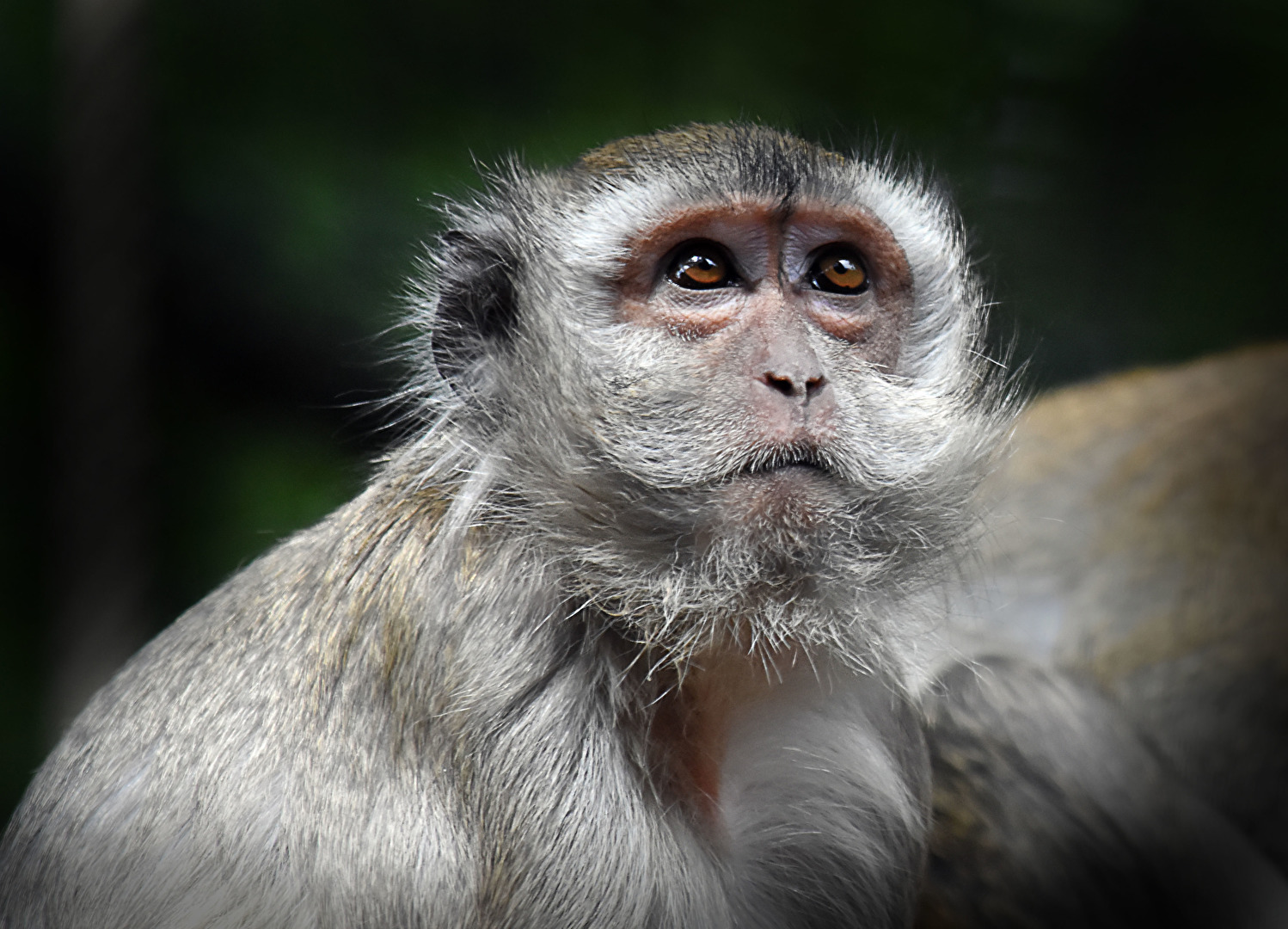 Zoo Amnéville ( F )