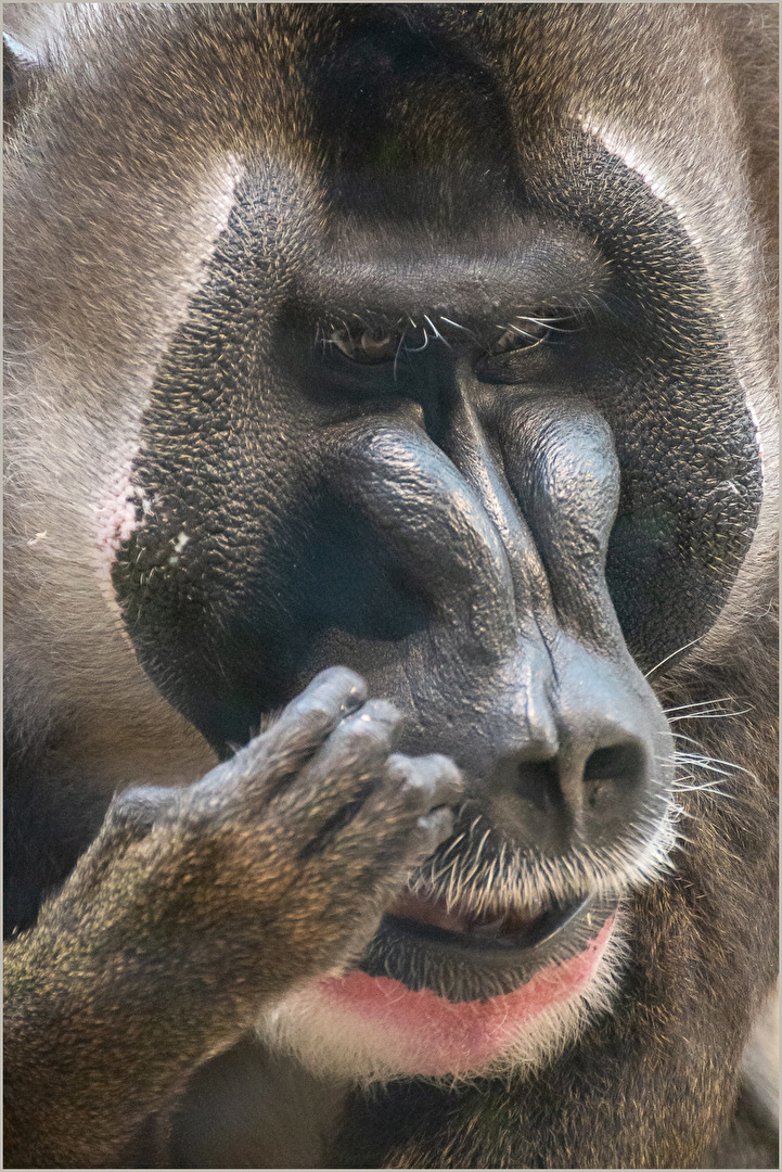 Also wenn ich es mir recht überlege ...
