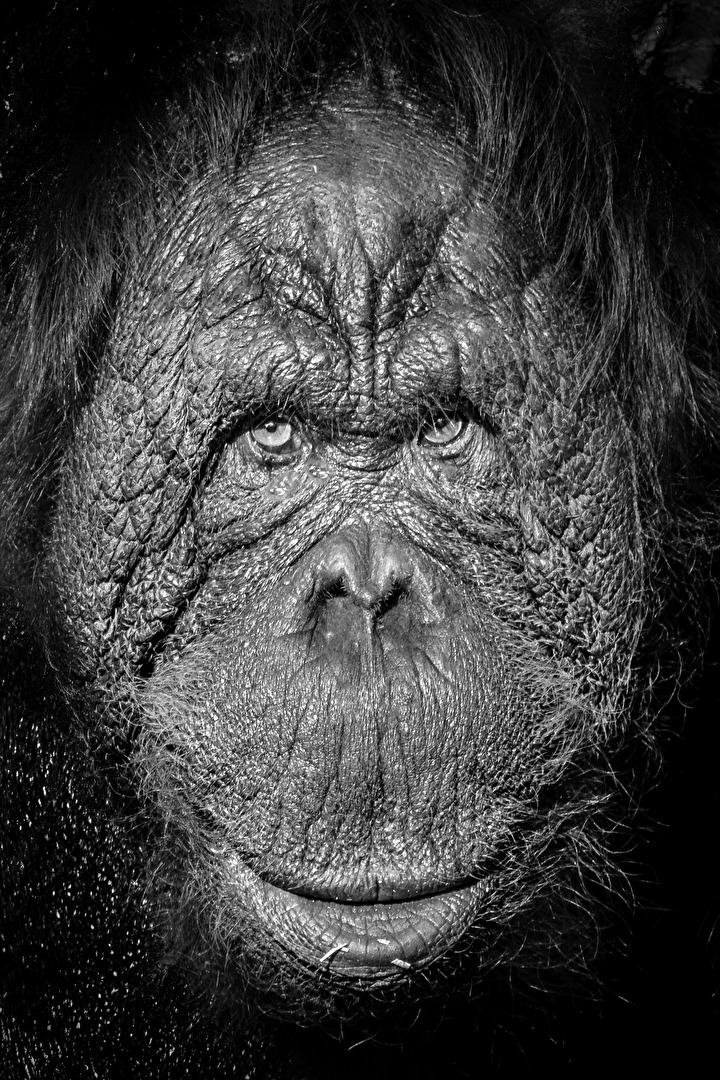 Ein weiser Blick?