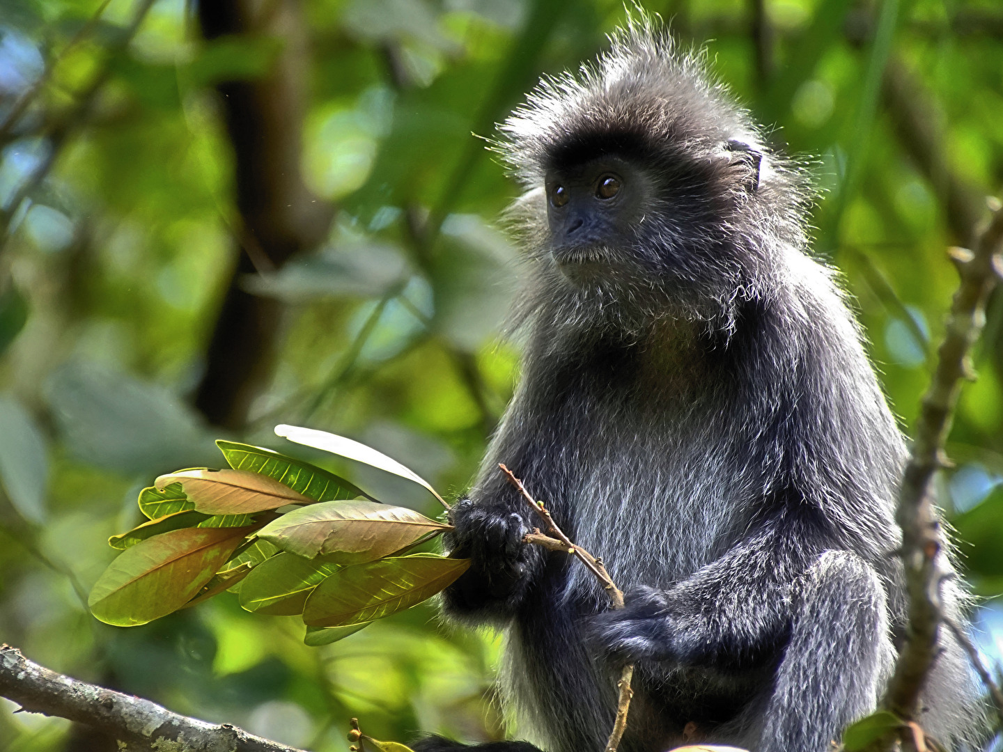 #Tiere - frei, aber nicht menschenscheu