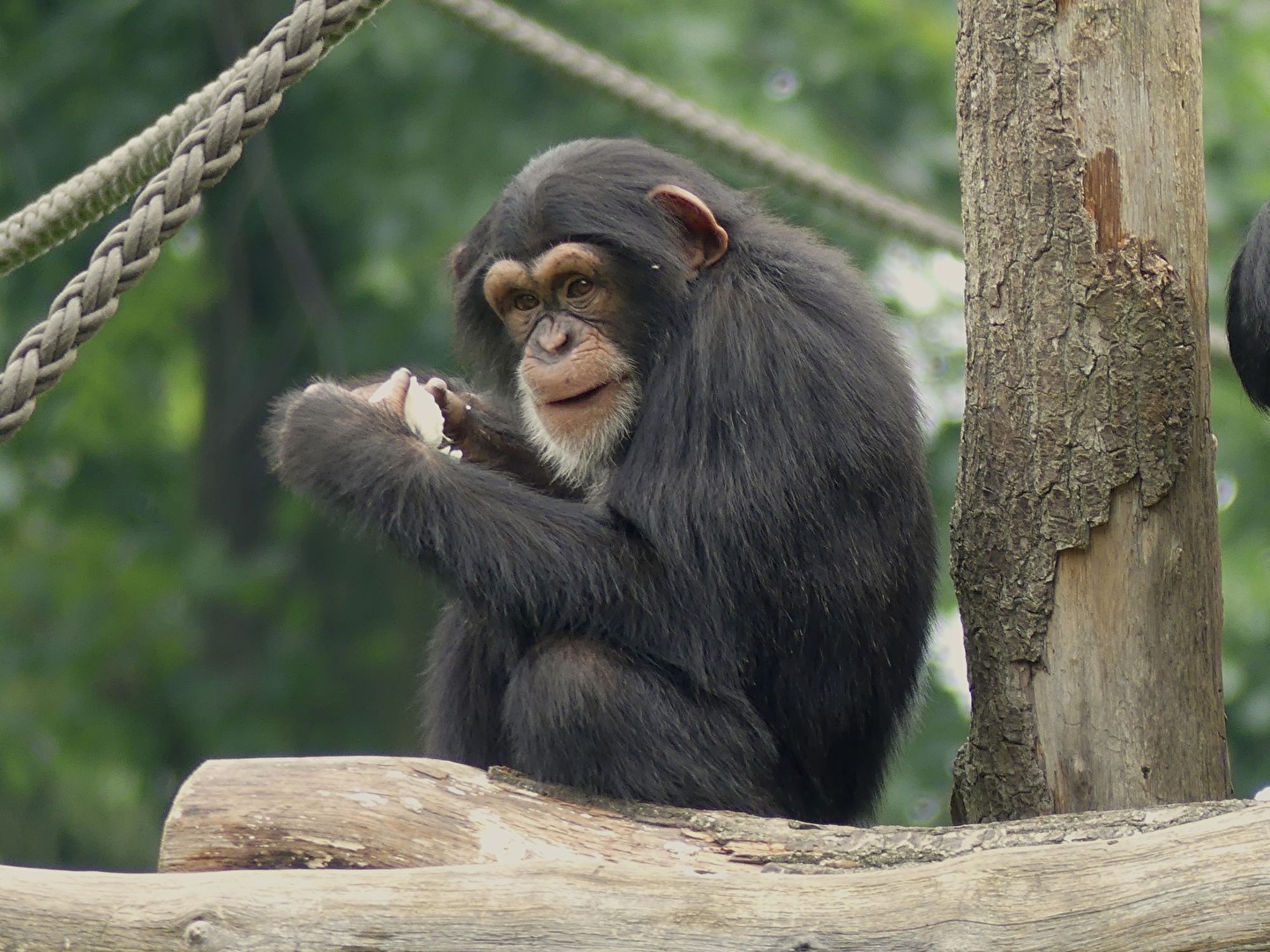 Was bist Du denn für einer ?