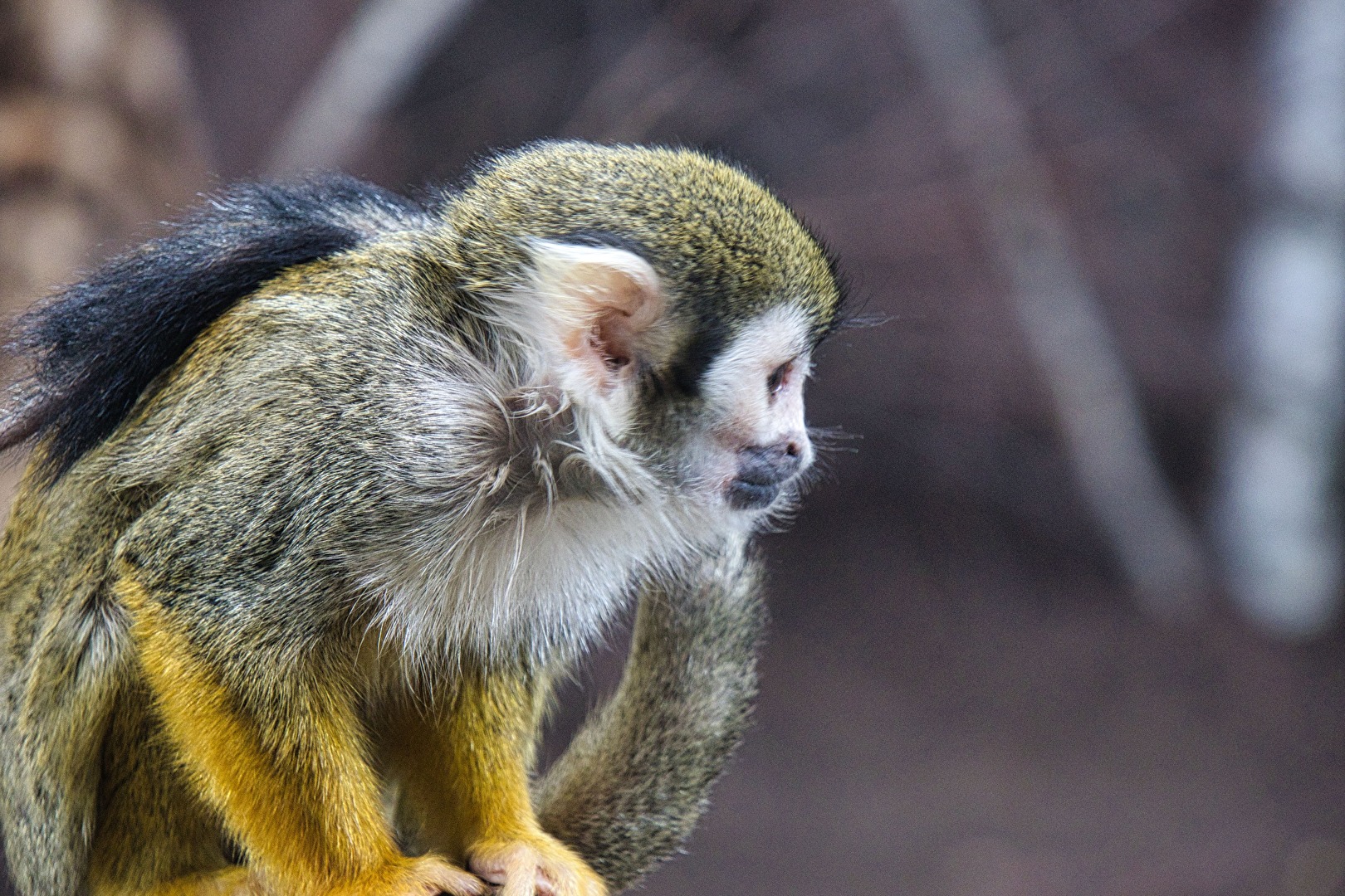 Immer neugierig sein