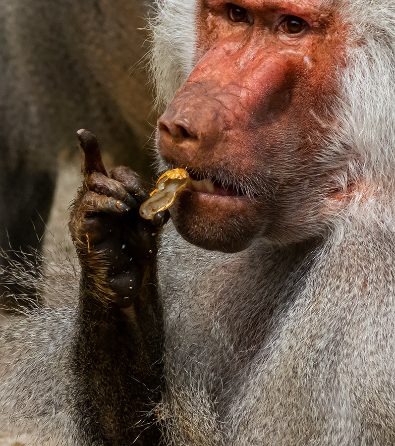 ..... das war meine Erdnuss!