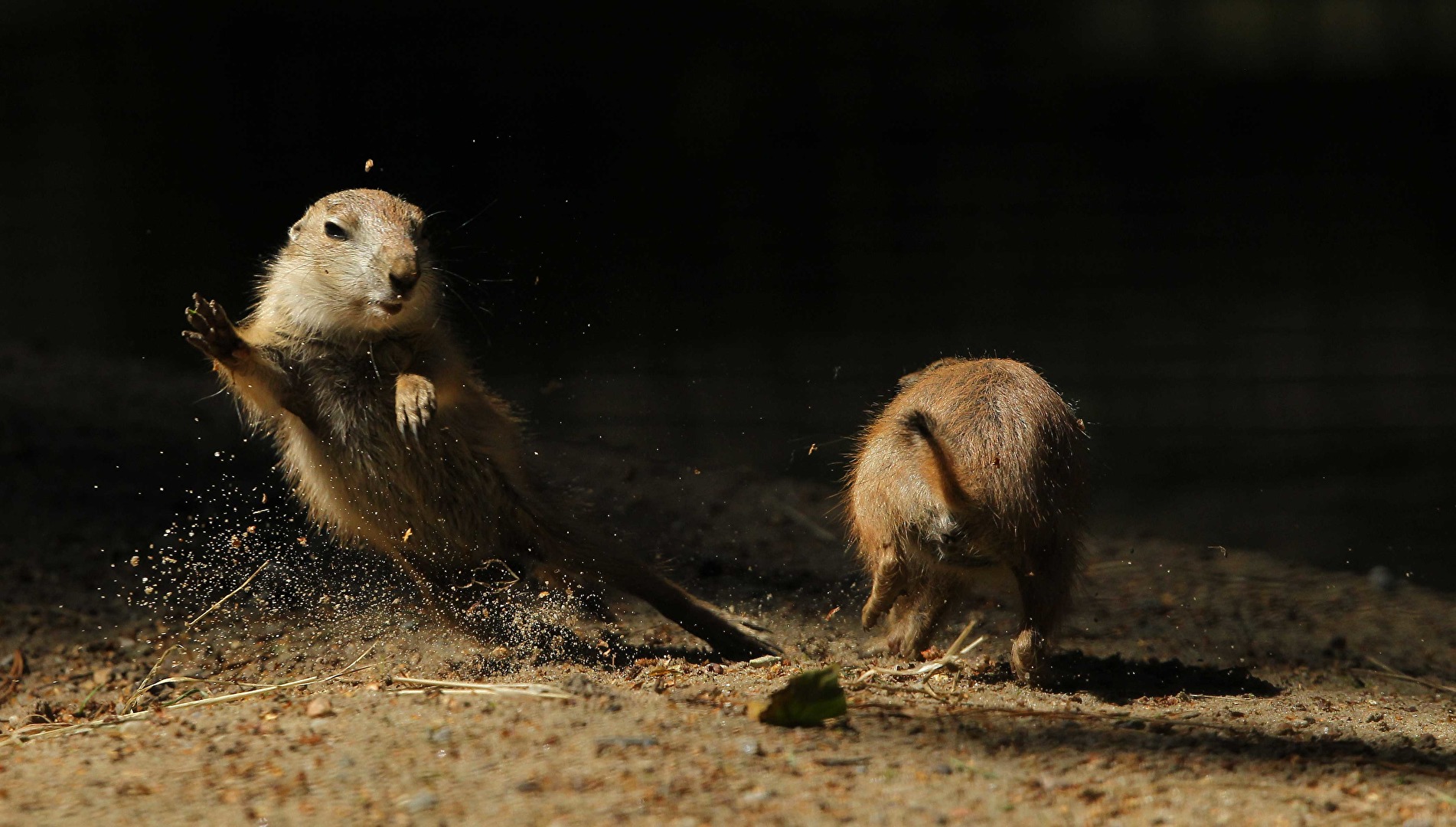 Du kriegst mich nicht!