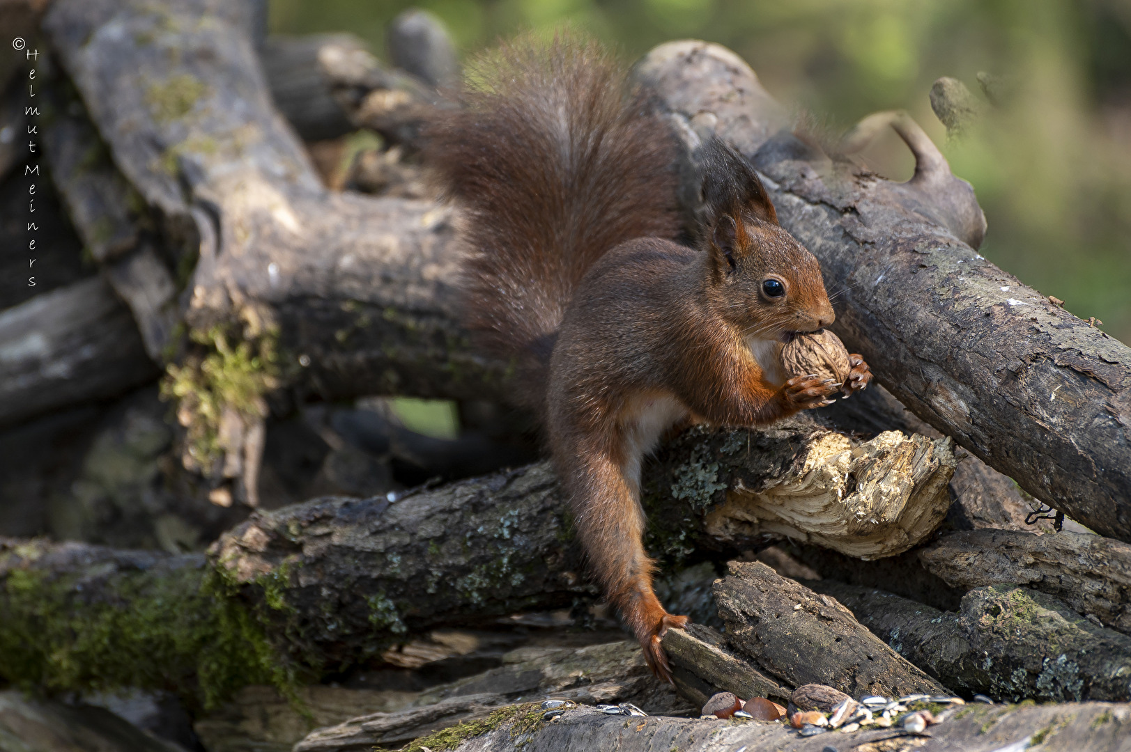 Danke für das Festmahl...!
