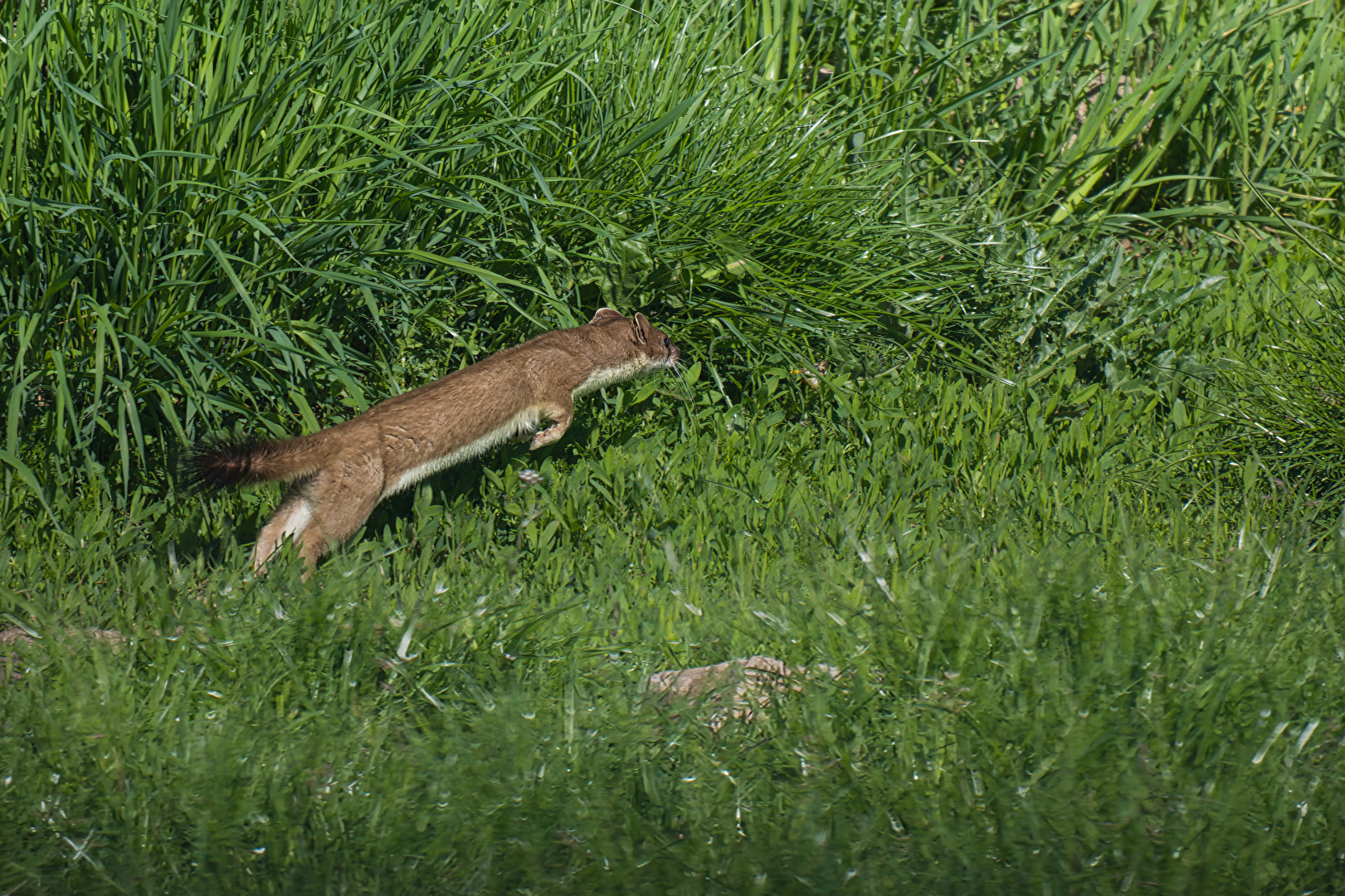 Ein Sprung ins Ungewisse?