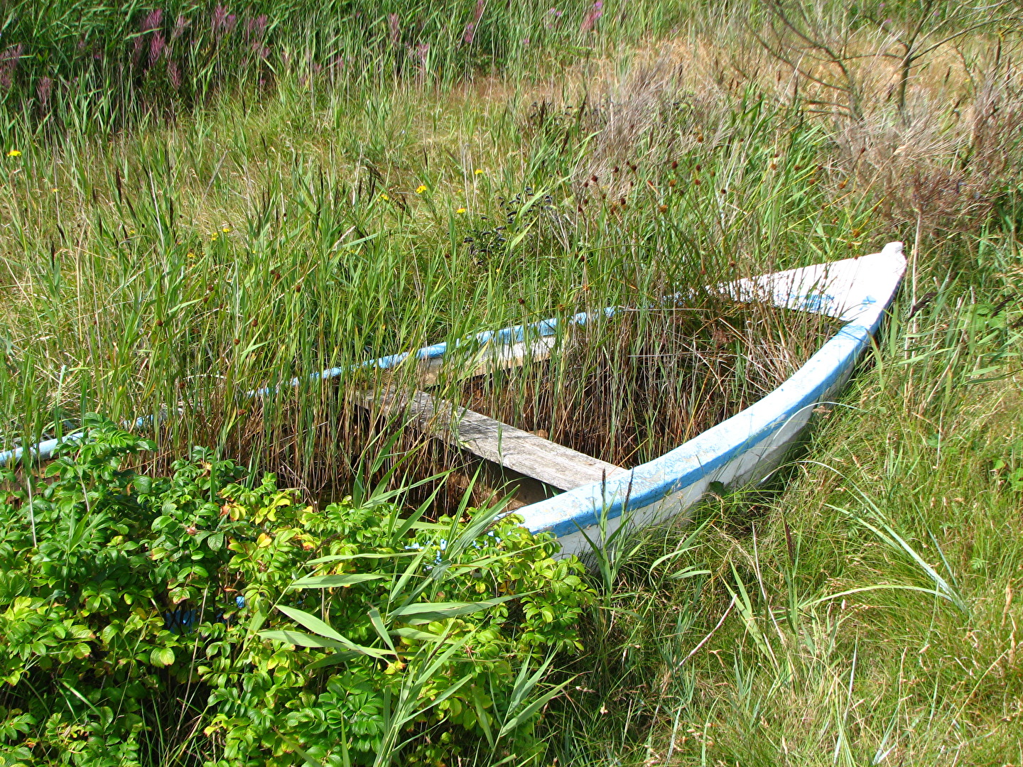 bei Hvide Sande und Sondervig