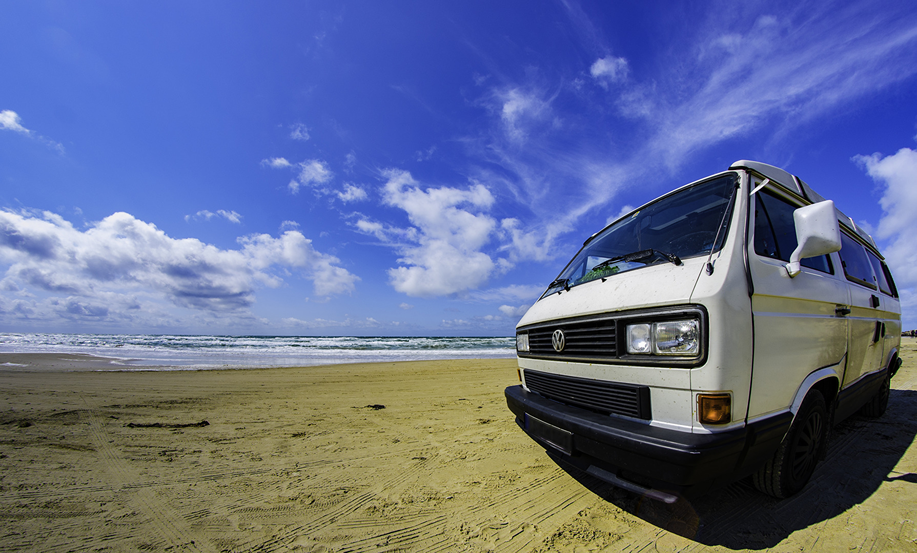 Bully on the beach