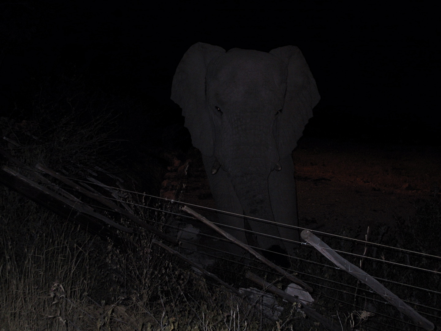 Namibia 2002