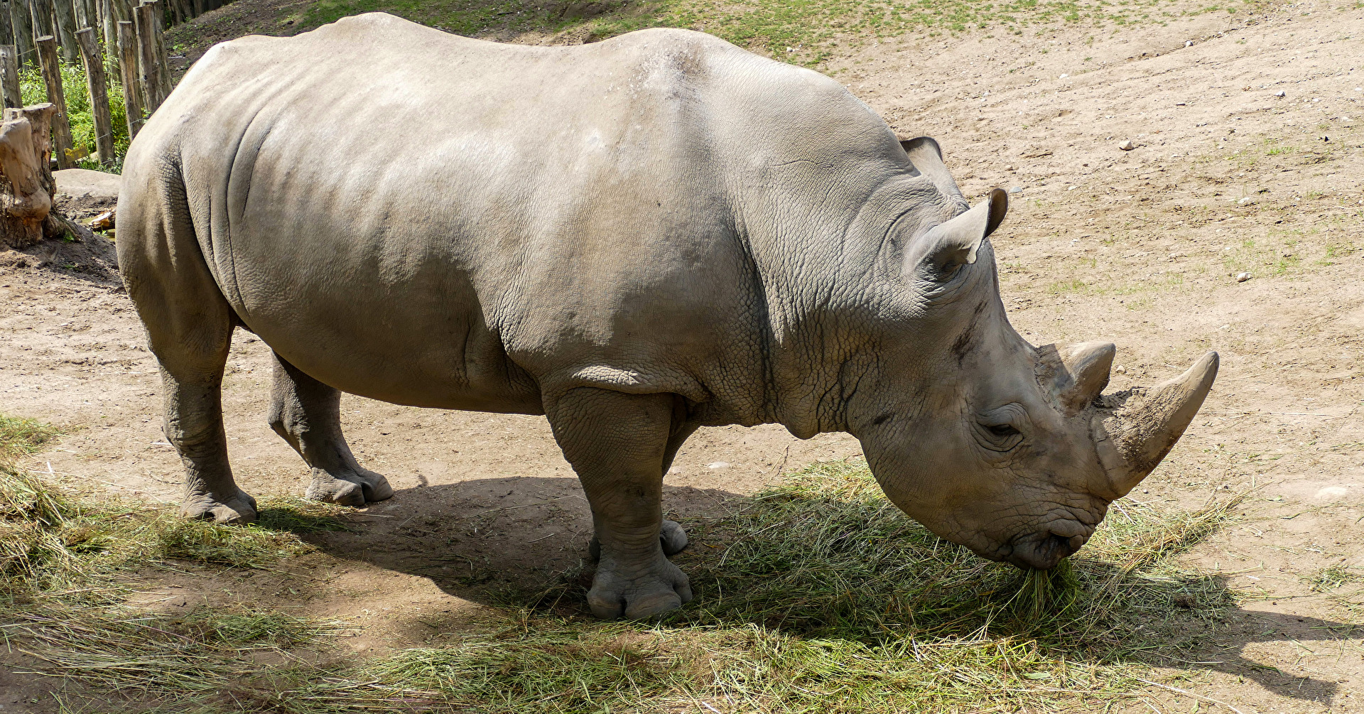 Störe mich nicht ´bei meinem Frühstück