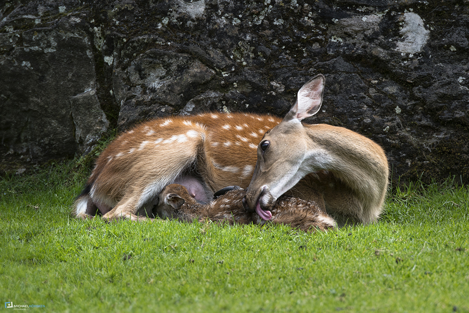 mothers love