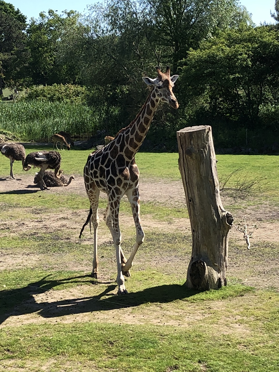 Zoo Leipzig