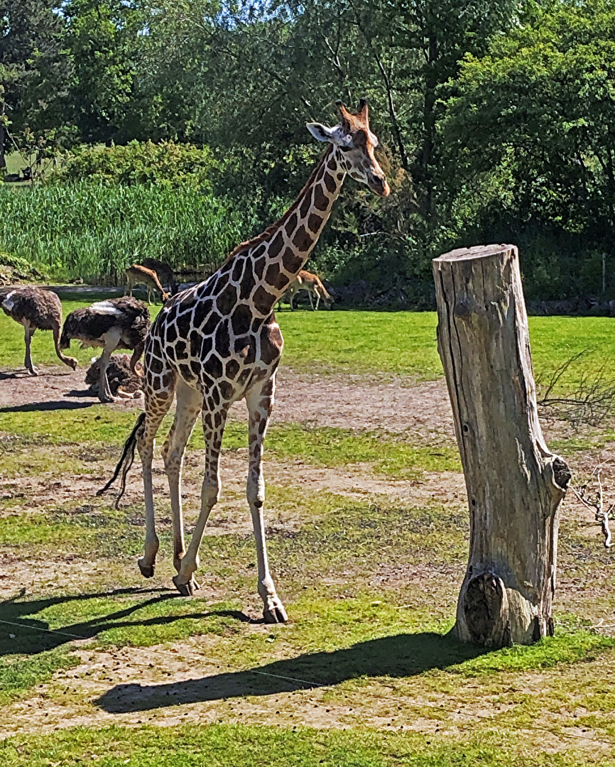 Zoo Leipzig