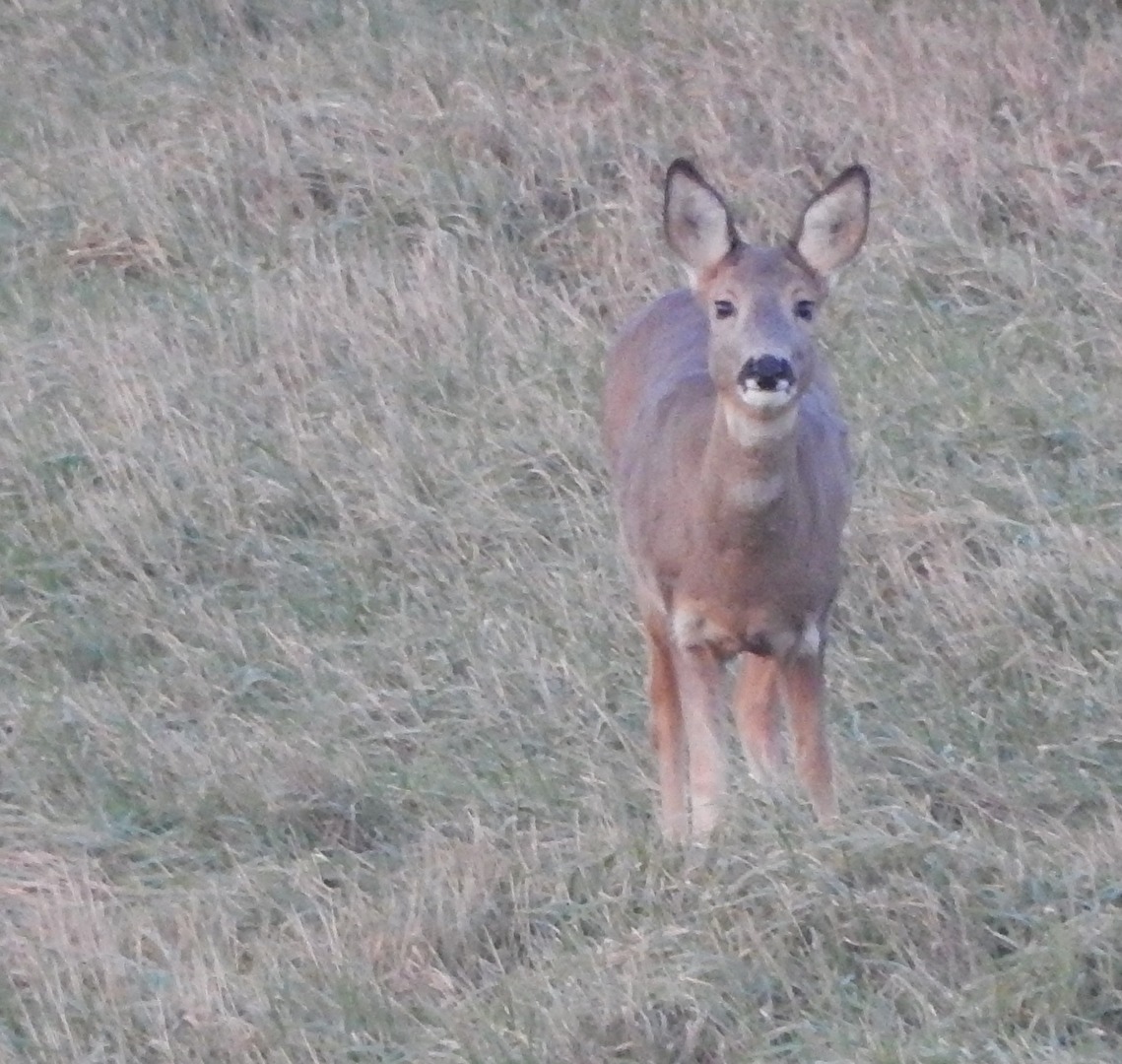 Zufallsbekanntschaft