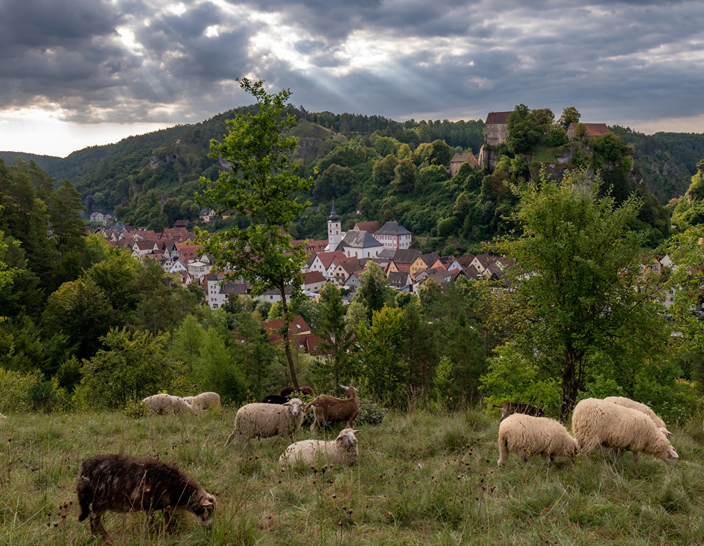 Emissionsarme "Rasenmäher" vor dem Felsenstädtchen Pottenstein
