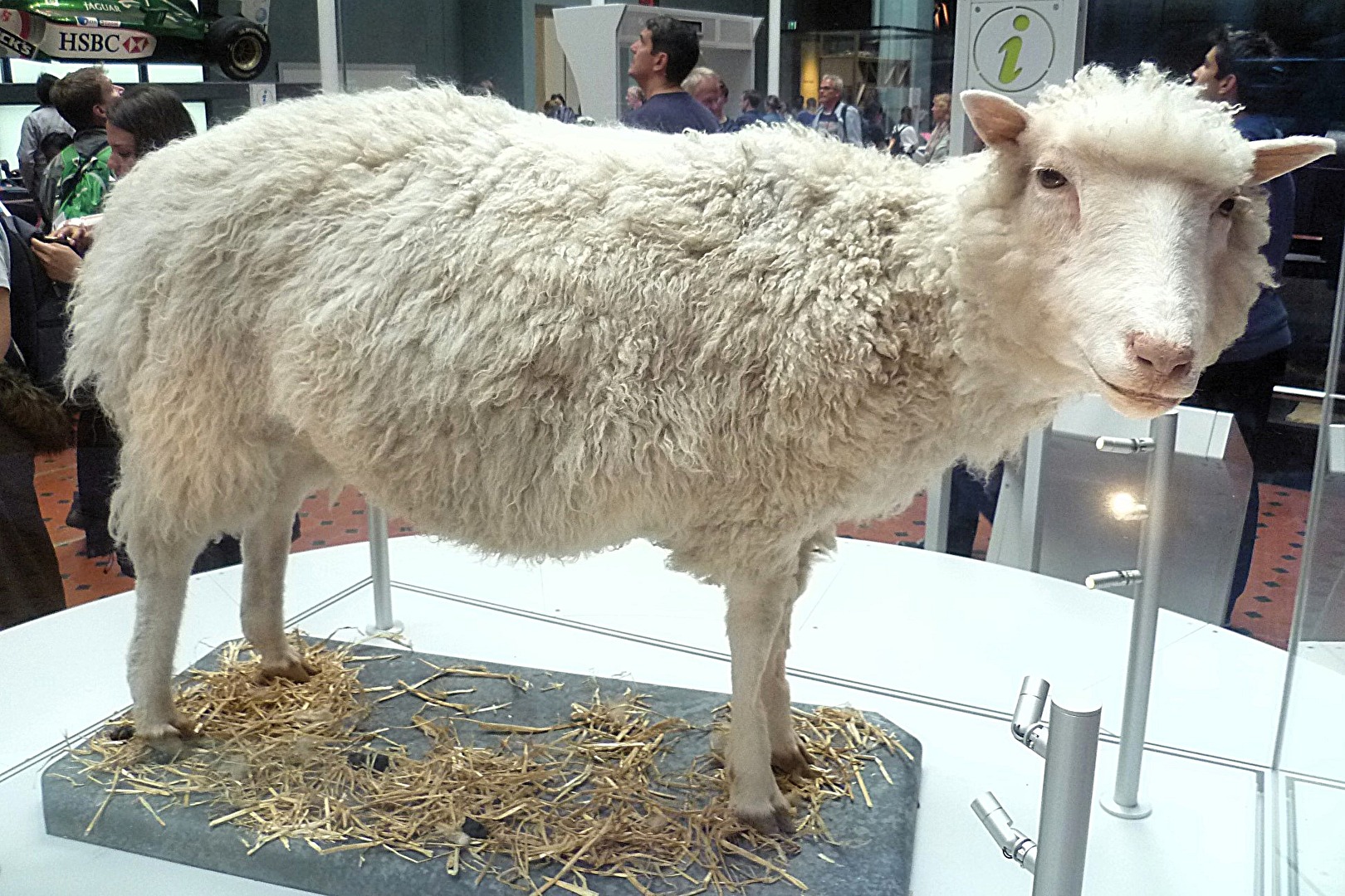 Hello Dolly, this is Luis, Dolly......