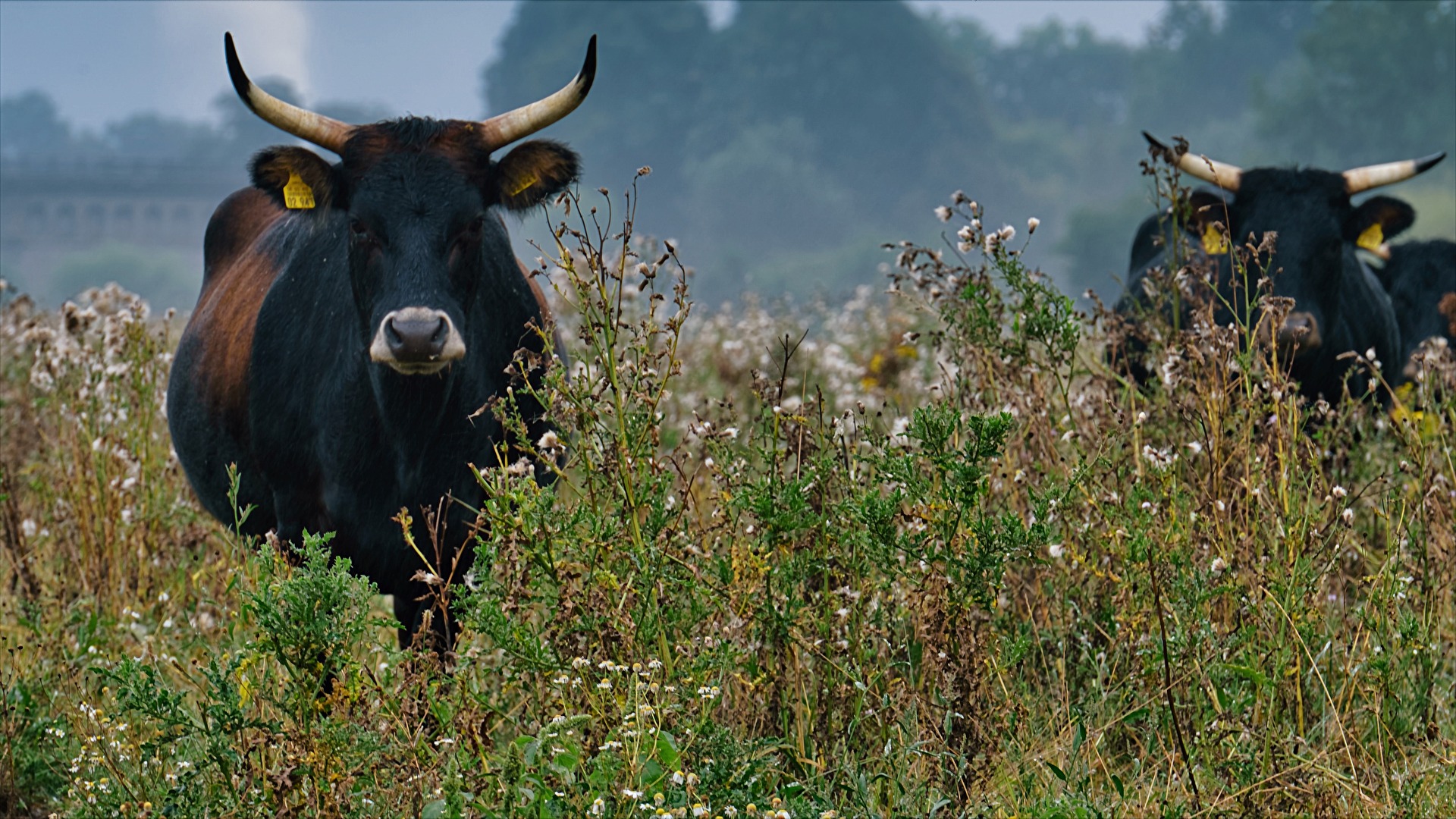 Komm mir nicht zu nah.