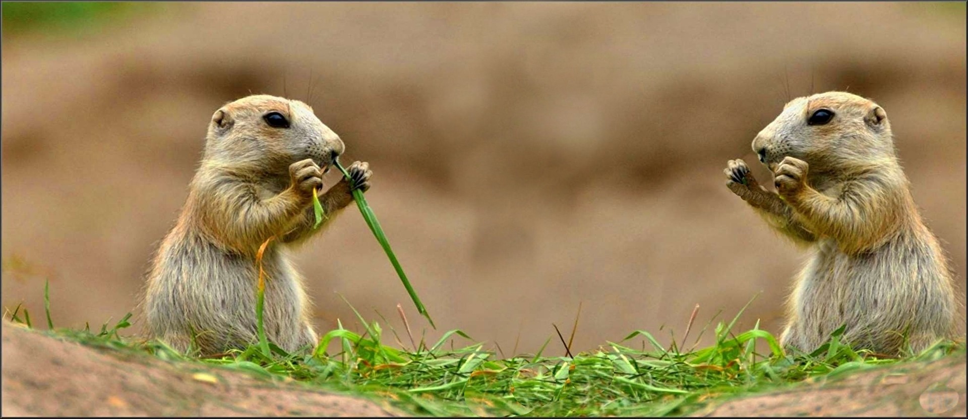und ,Wie schmeckt`s ?