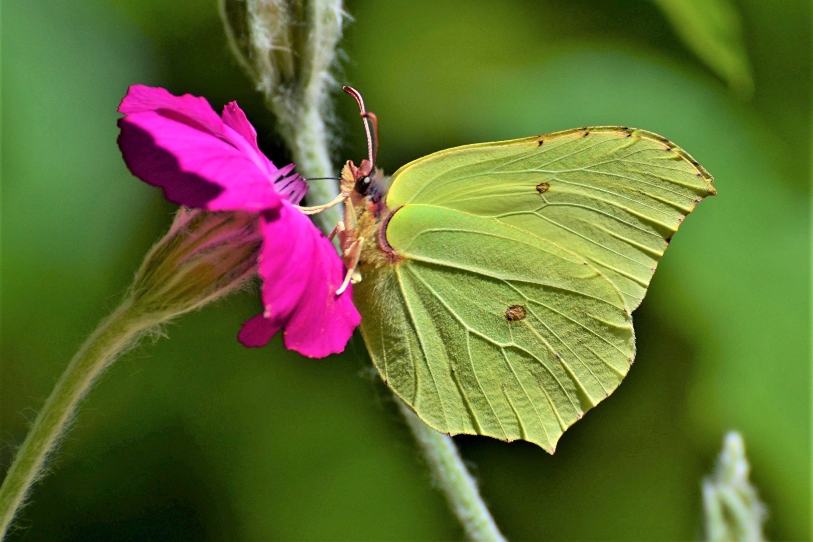 "Ich bin scharf auf Süßes "