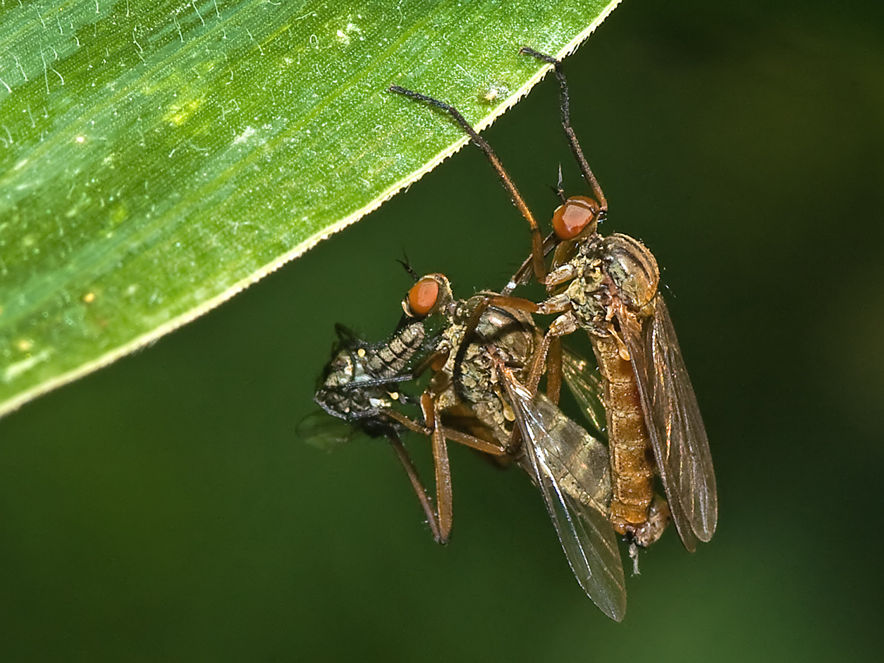 das Leben geht weiter
