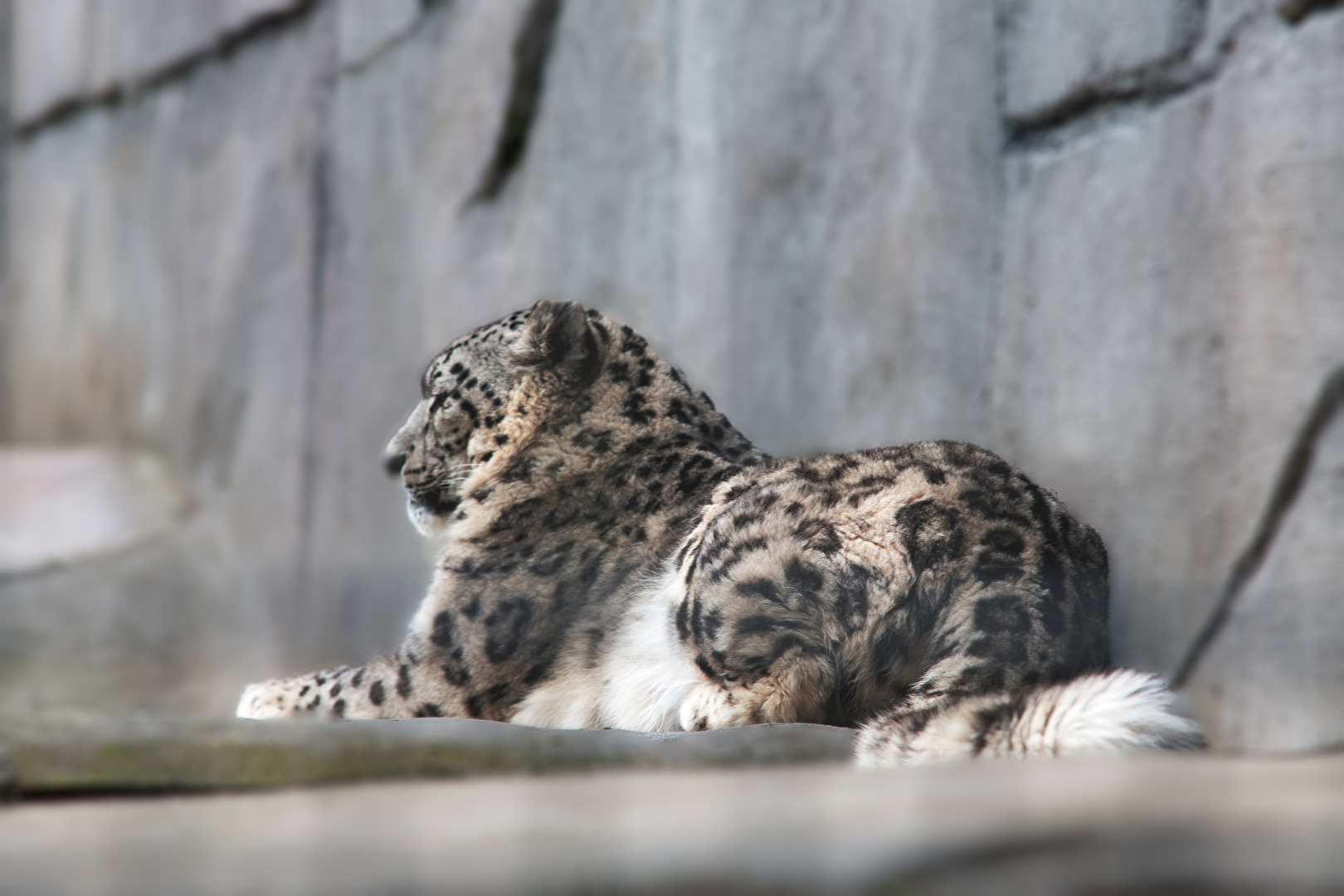 Sieht gemütlich aus