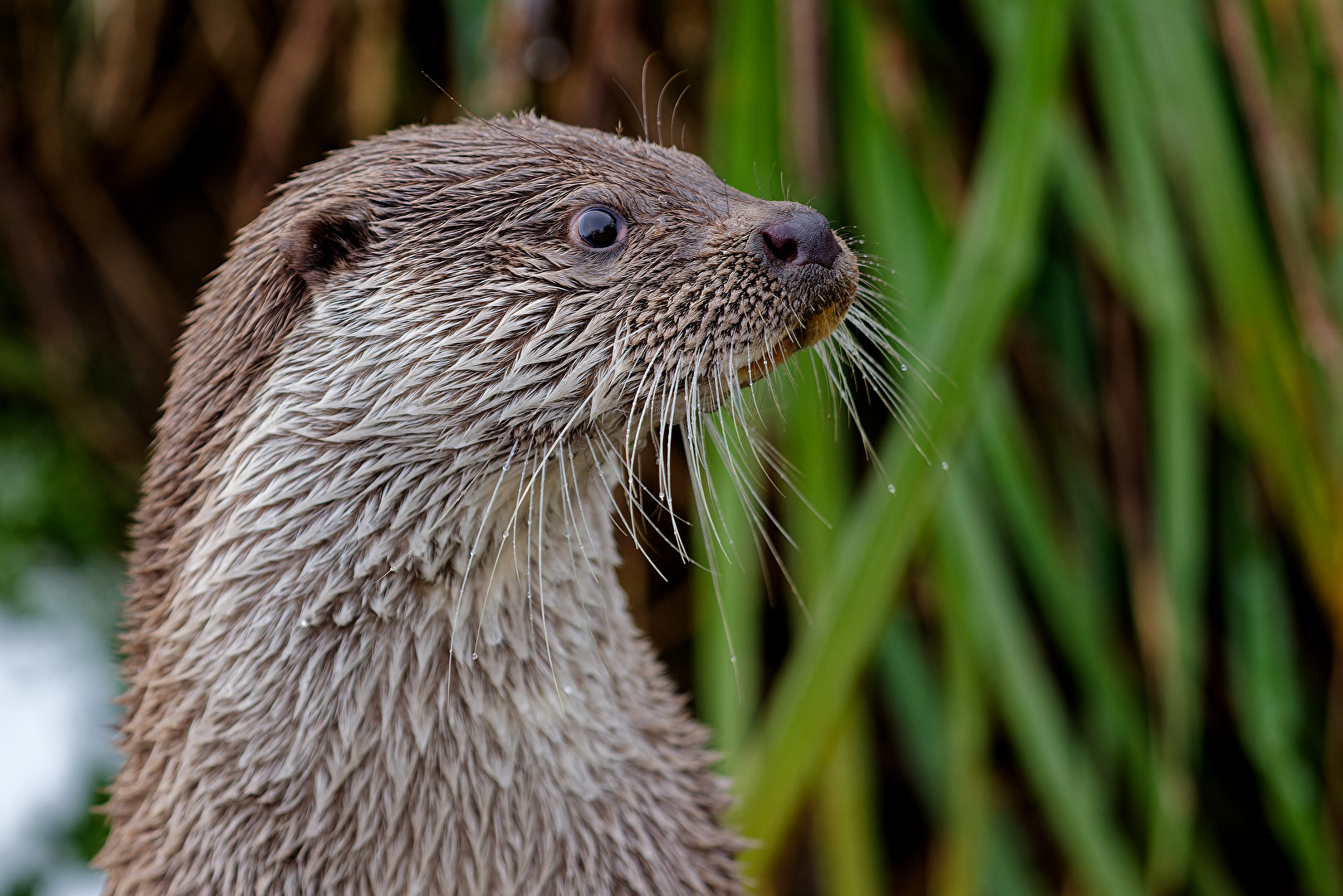 Neugierig, aber auch aufmerksam