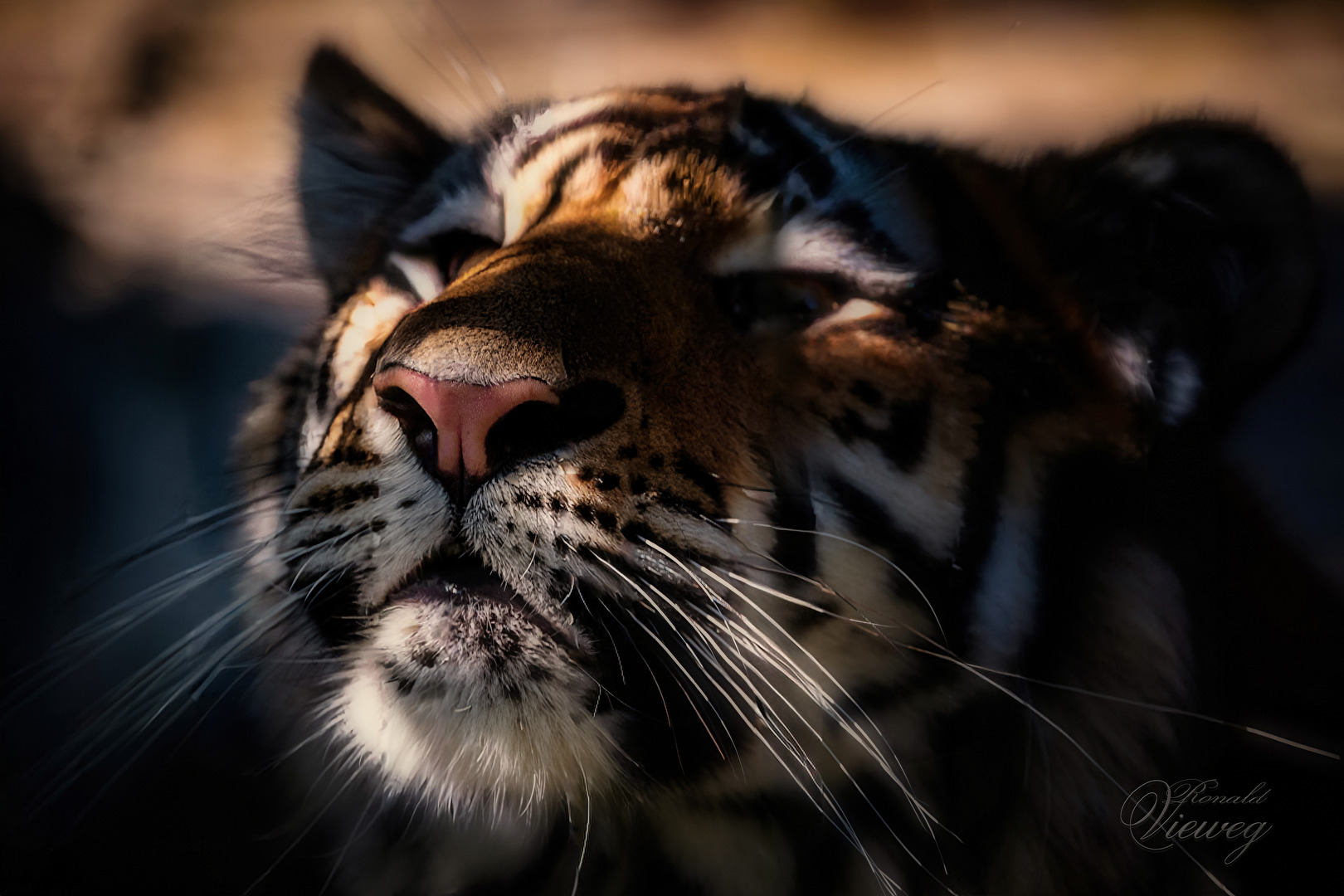 Auf Schnupperkurs im Tierpark Ströhen