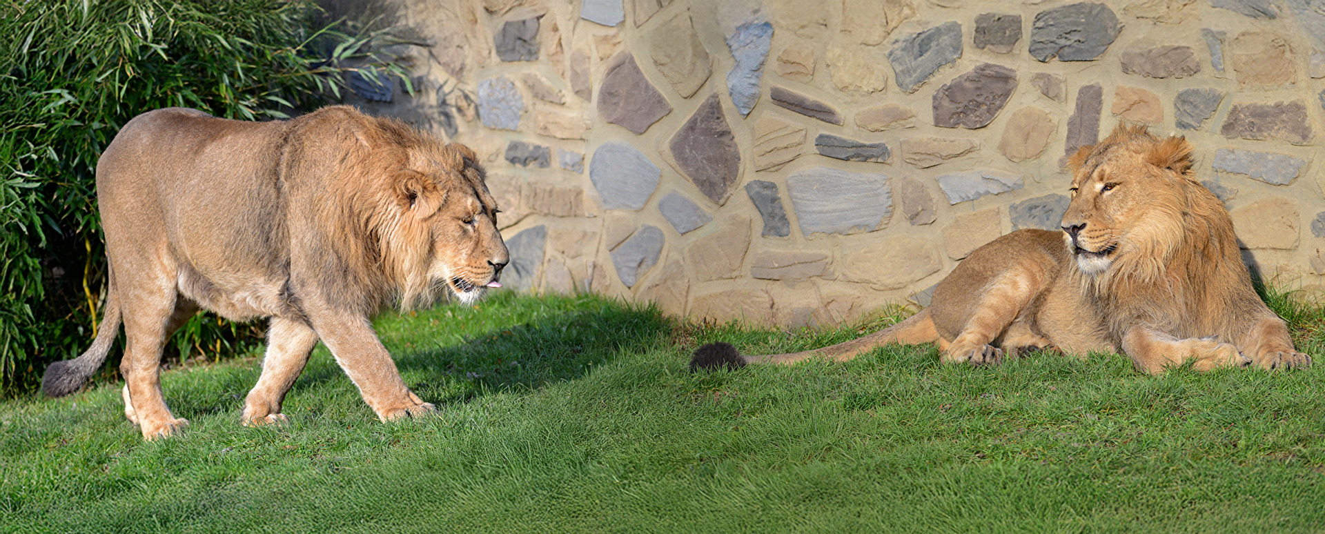 Digital verbrüdert.