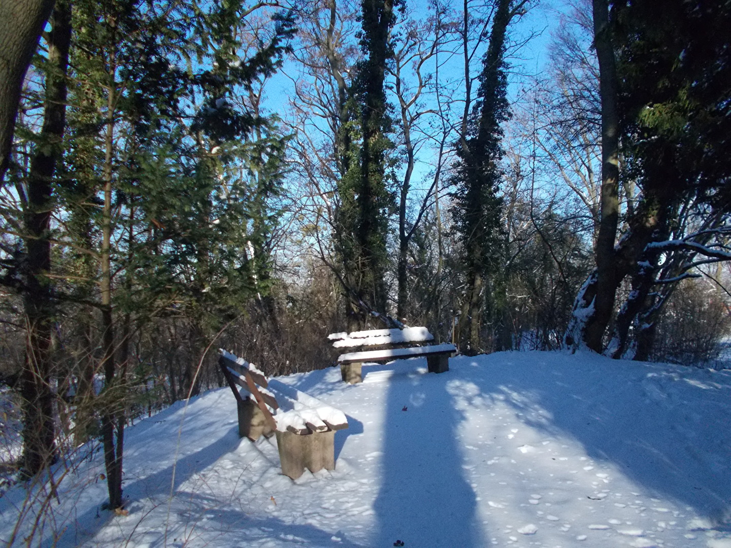 Schneebedeckt