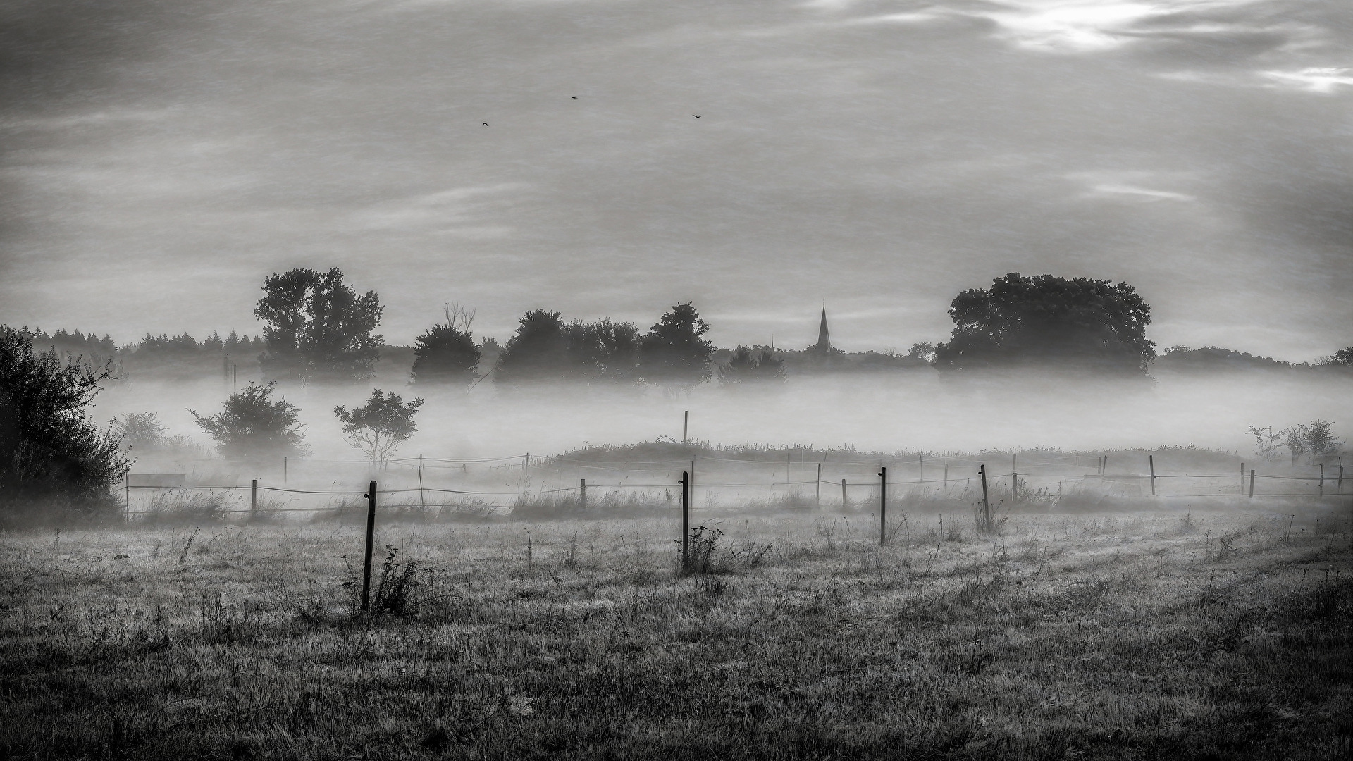 Bodennebel 3