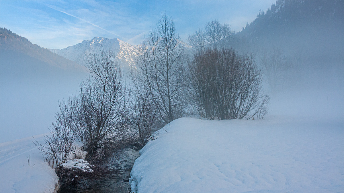 Nebel im Tal