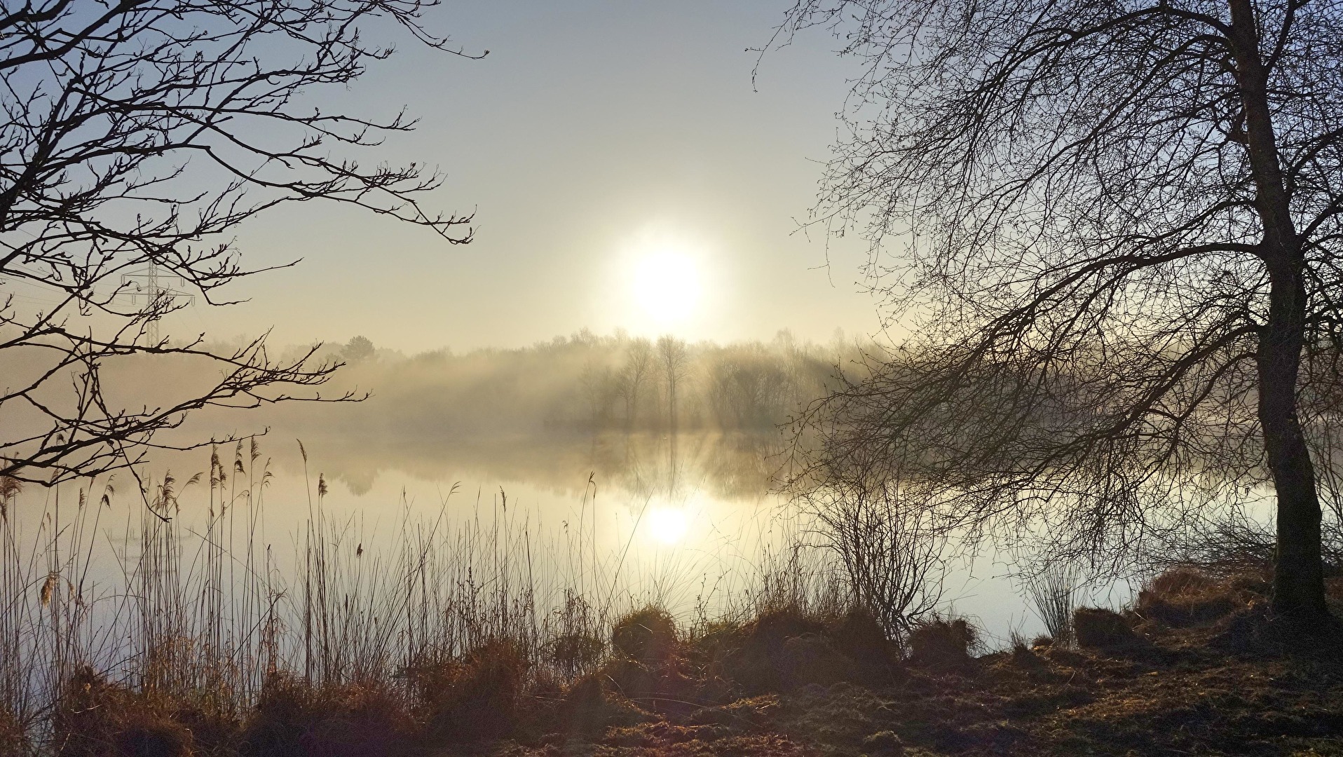 Nebel über dem Ottermeer in Wiesmoor/Ostfriesland