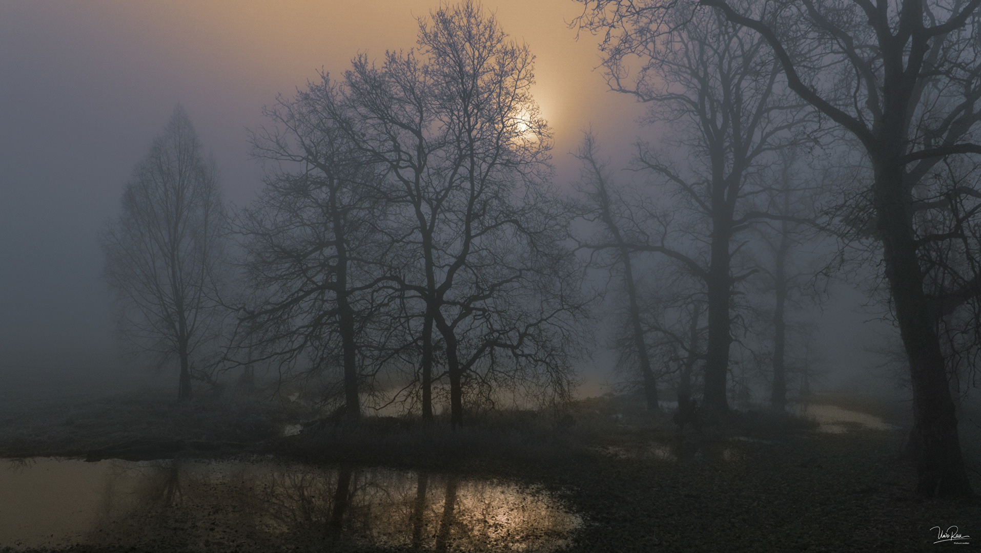 Die Sonne hat ganz schön zu tun