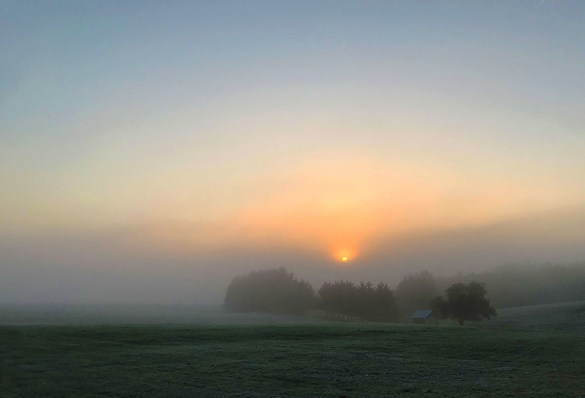 Morgennebel