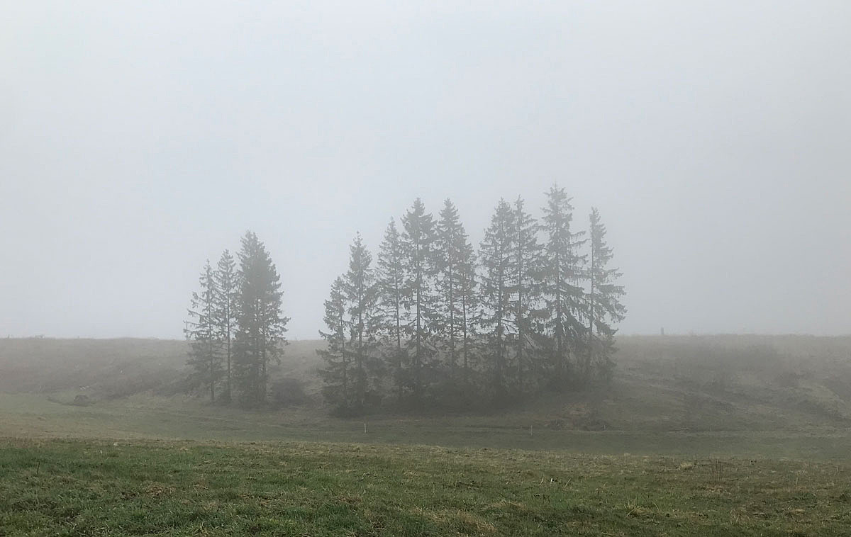 Vom Nebel umhüllt...