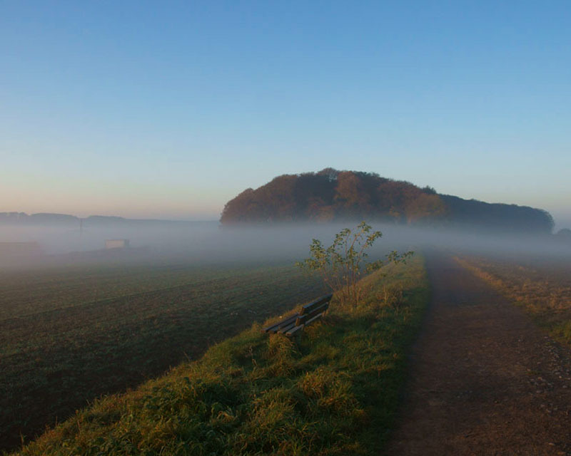 #Wetterphänomene - Novembernebel