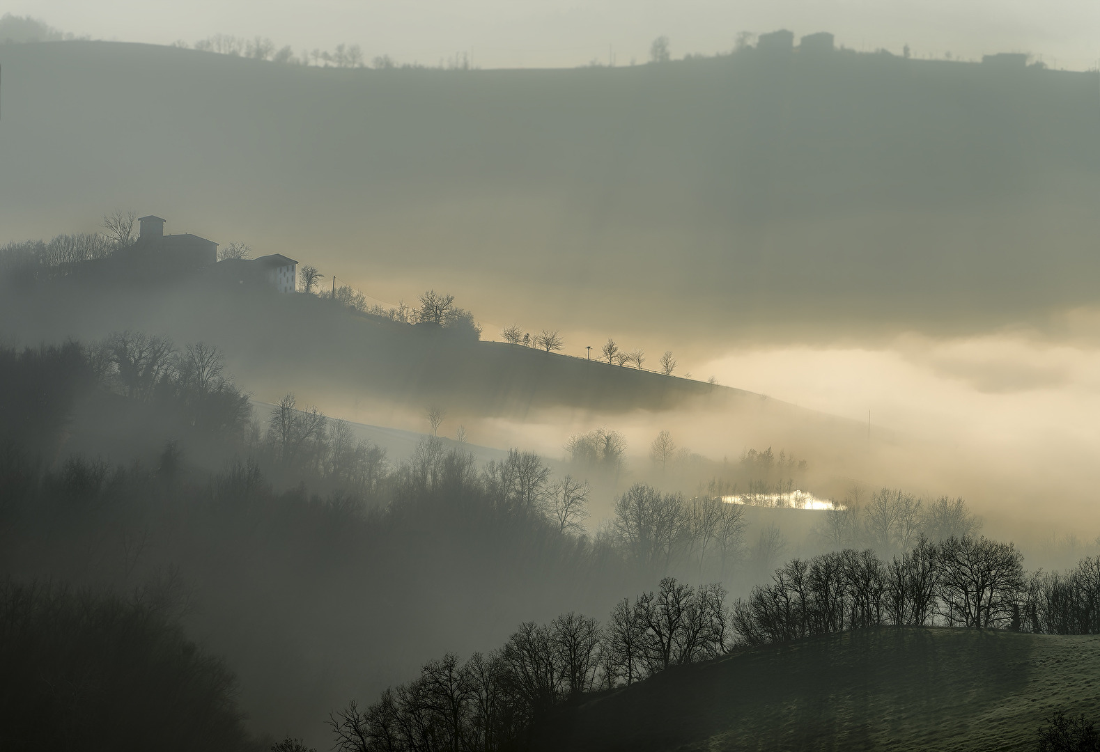 foggyemilia #Nebel